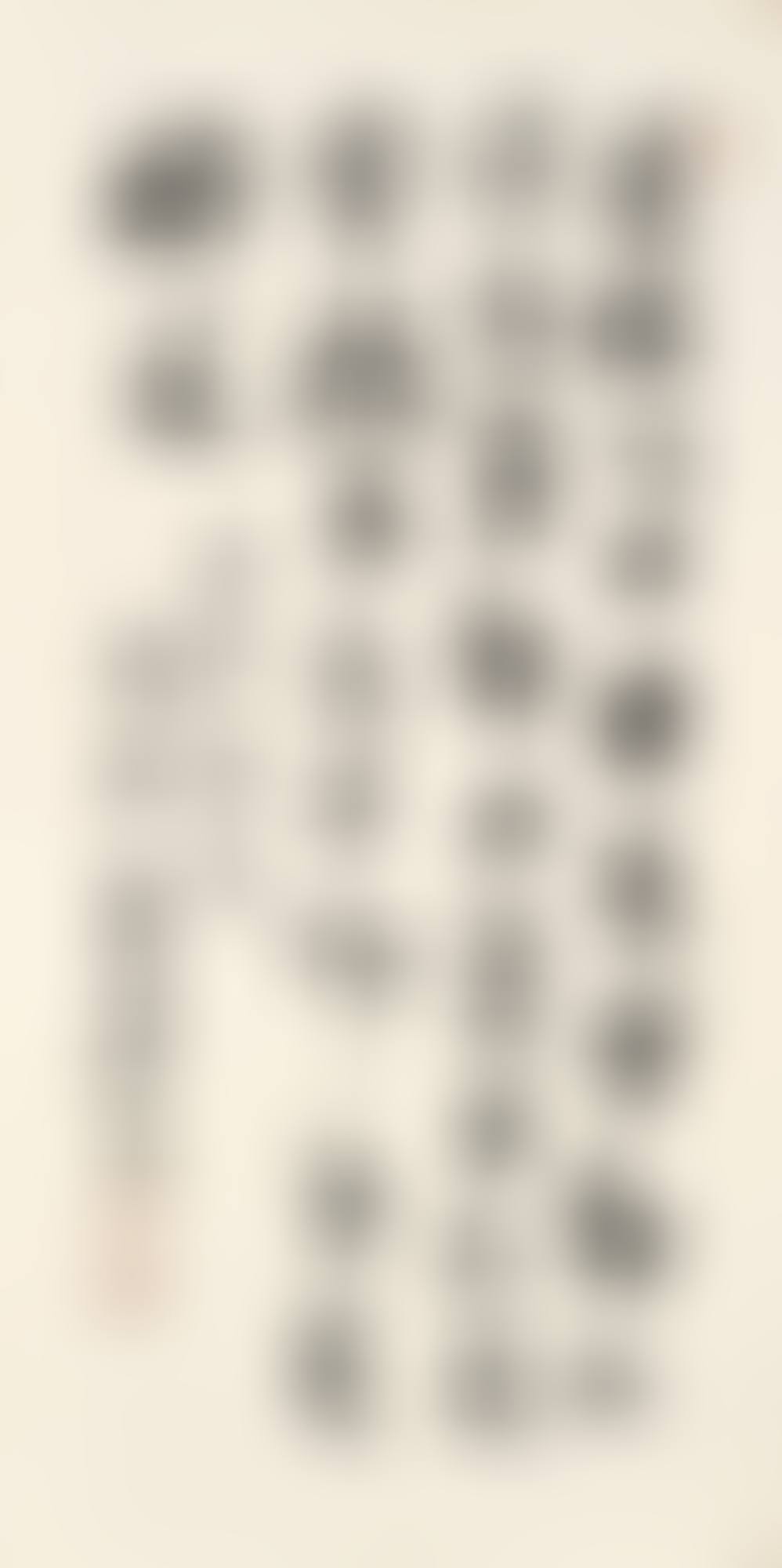 DU FU'S POEM IN XINGSHU (preview)