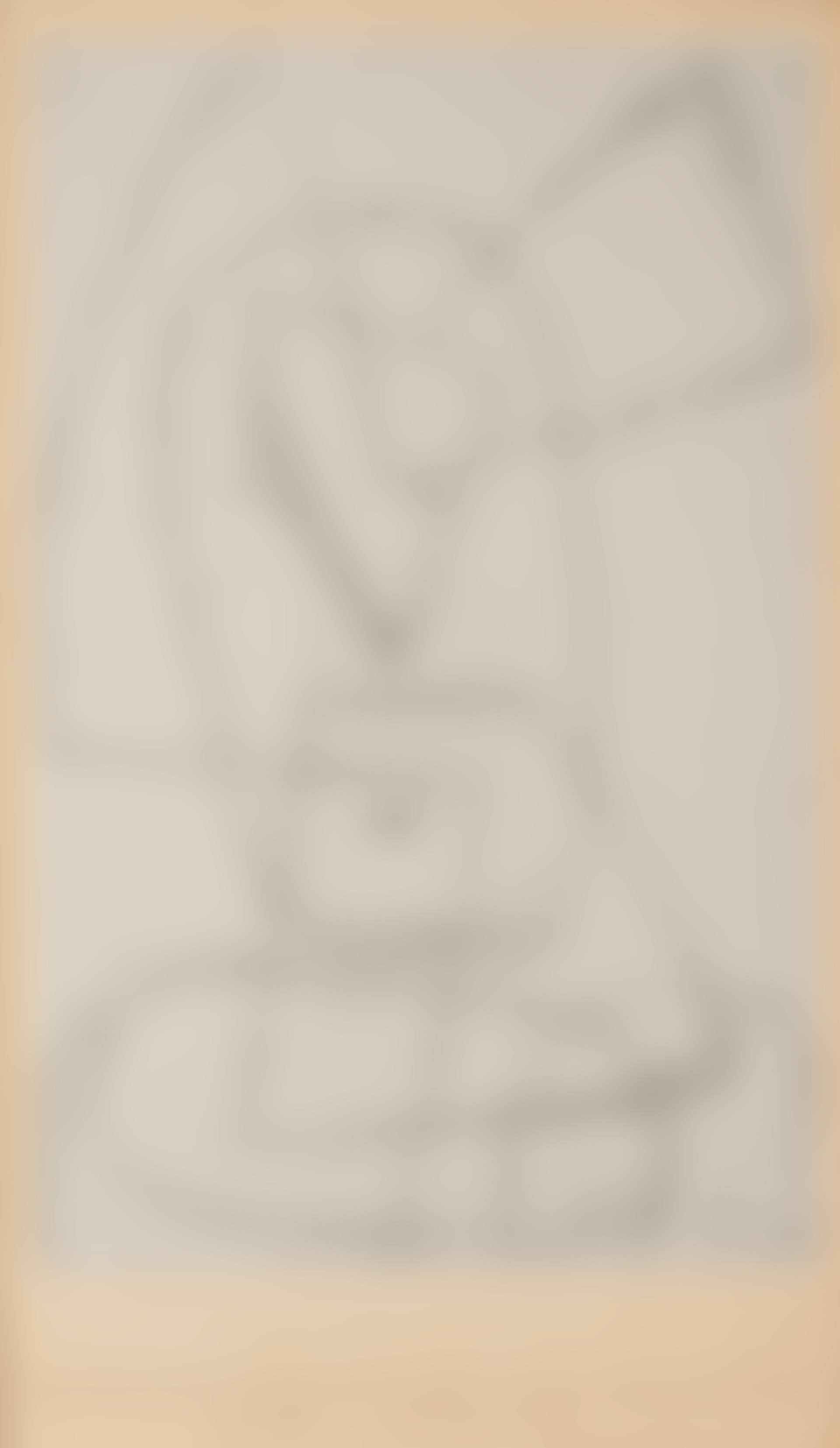 Robuster Narr (preview)