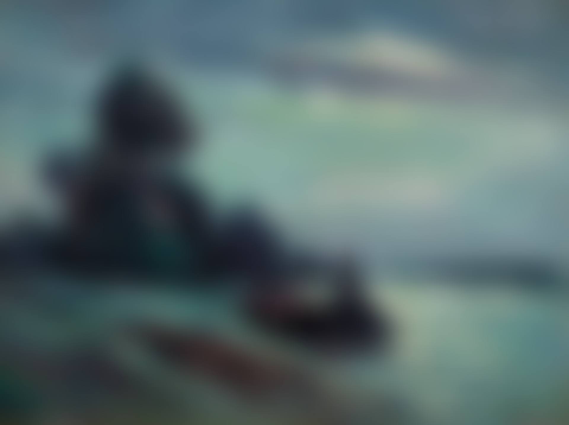 Péniches sur la Seine (preview)