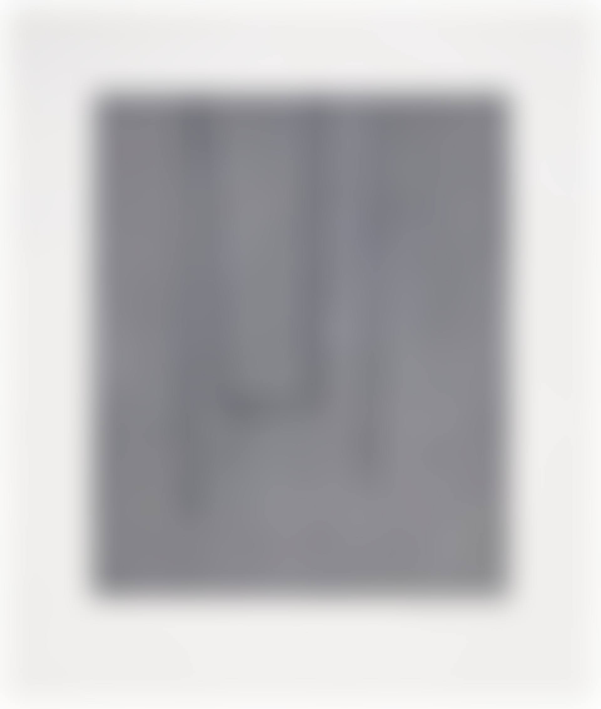 Slate Gray Pintura (preview)