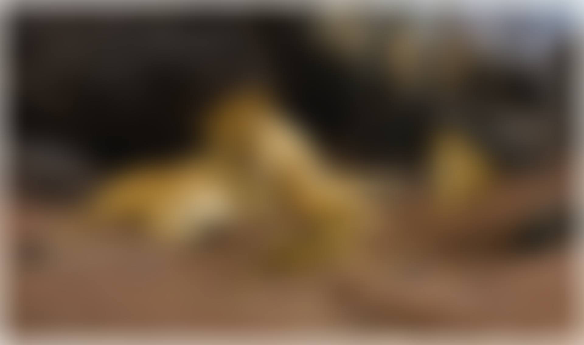 A LIONESS AND HER CUBS (preview)