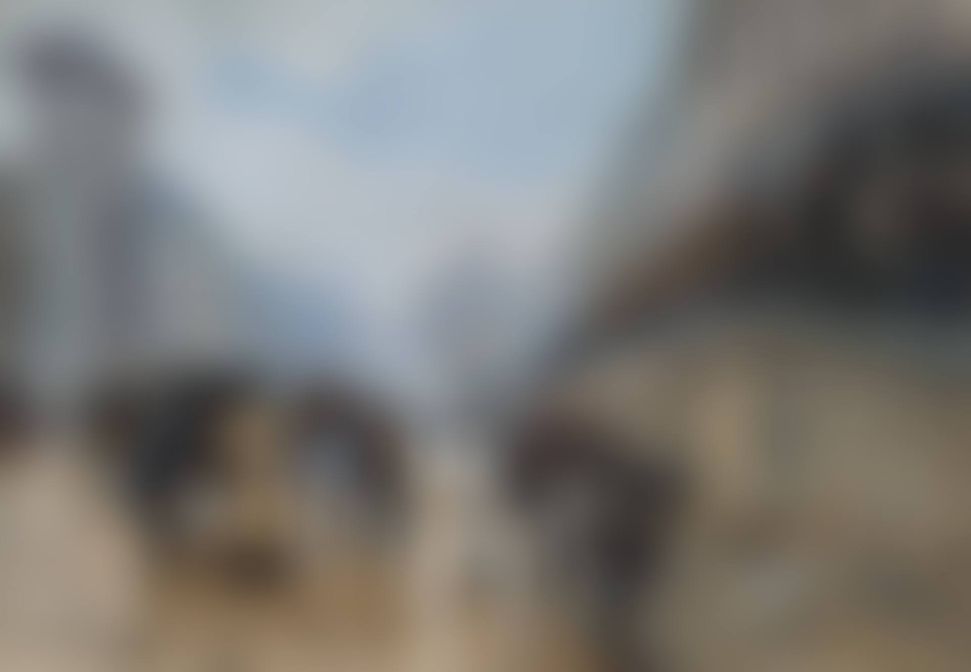 L'accident: Porte Saint-Denis (preview)