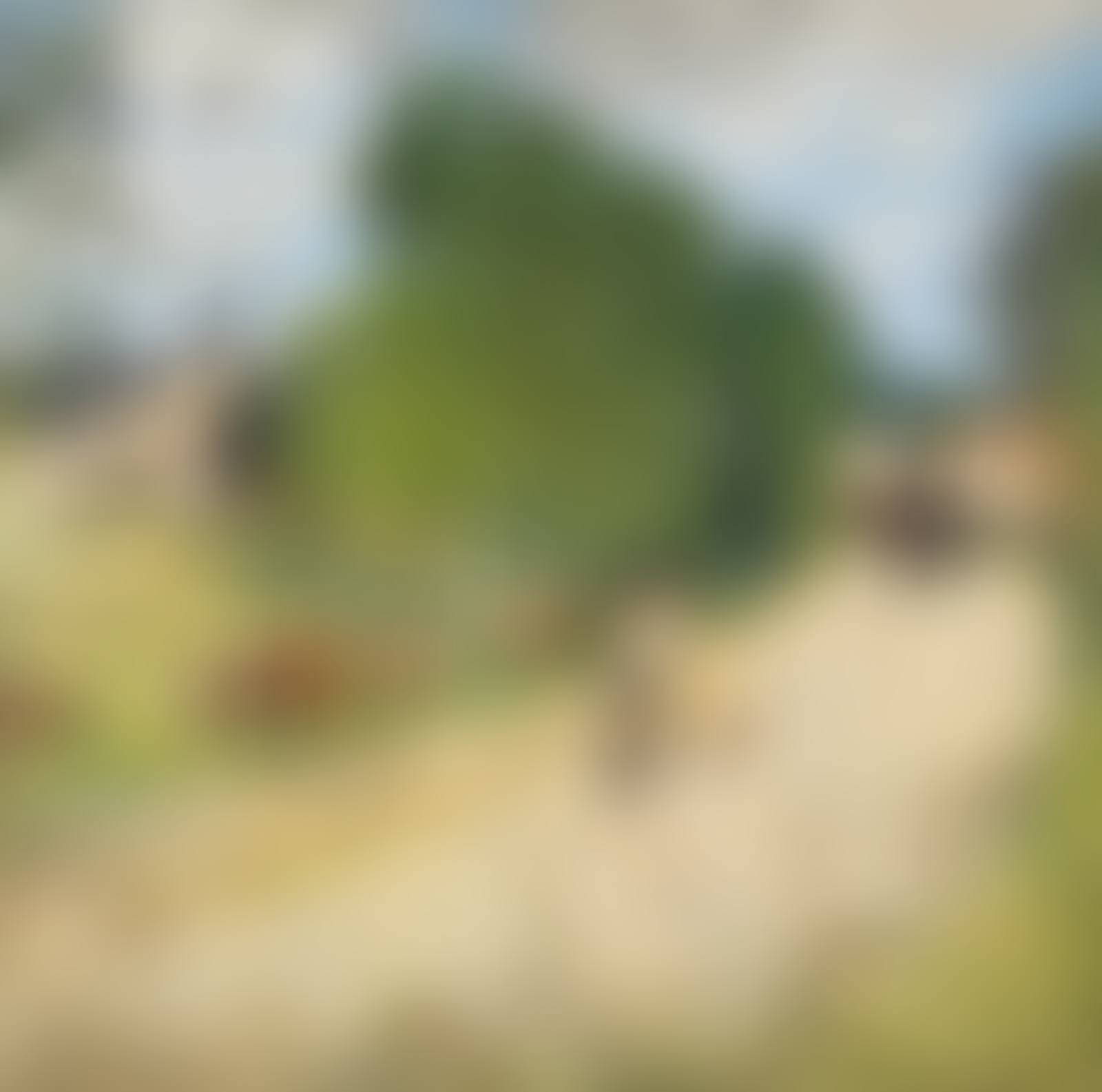 L'entrée de Bessé-sur-Braye (Sarthe) (preview)