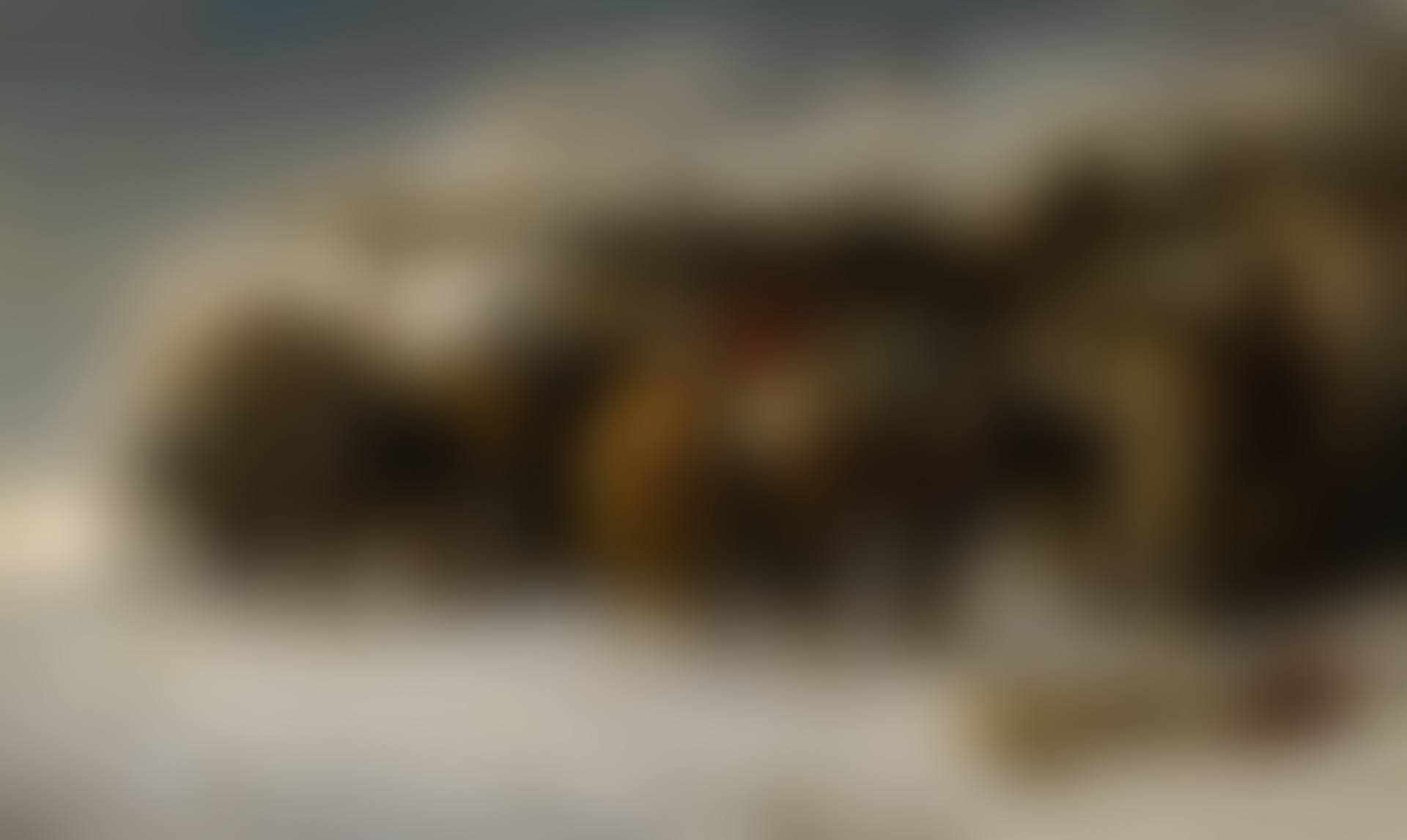 THE WALLACHIAN TEAM (preview)