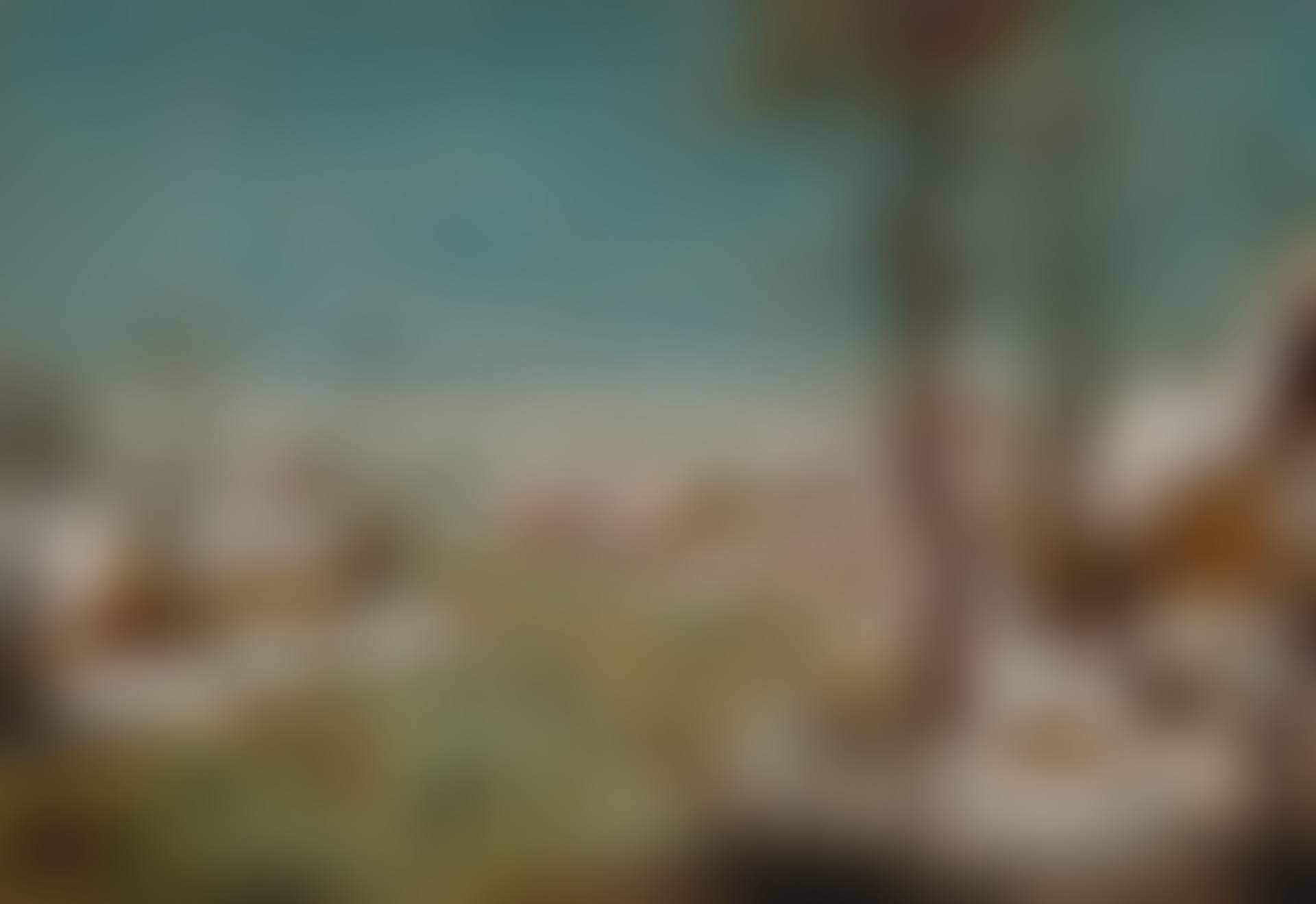 The Birdtrap (preview)