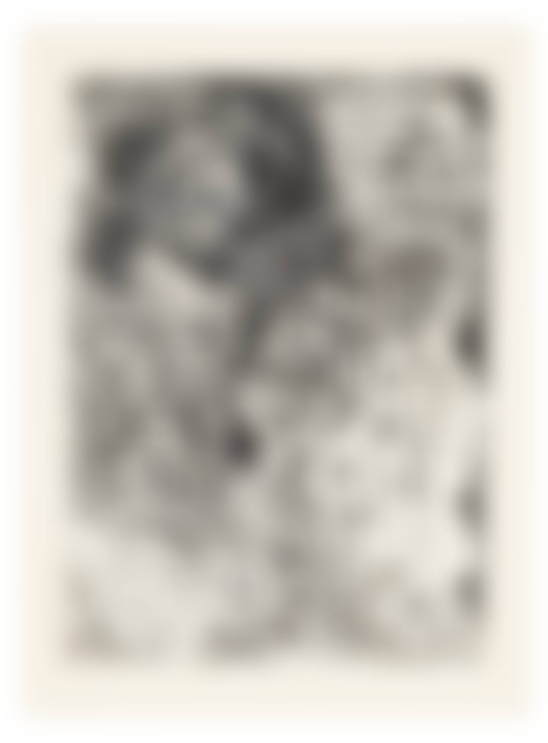Rembrandt à la palette, from La Suite Vollard (preview)