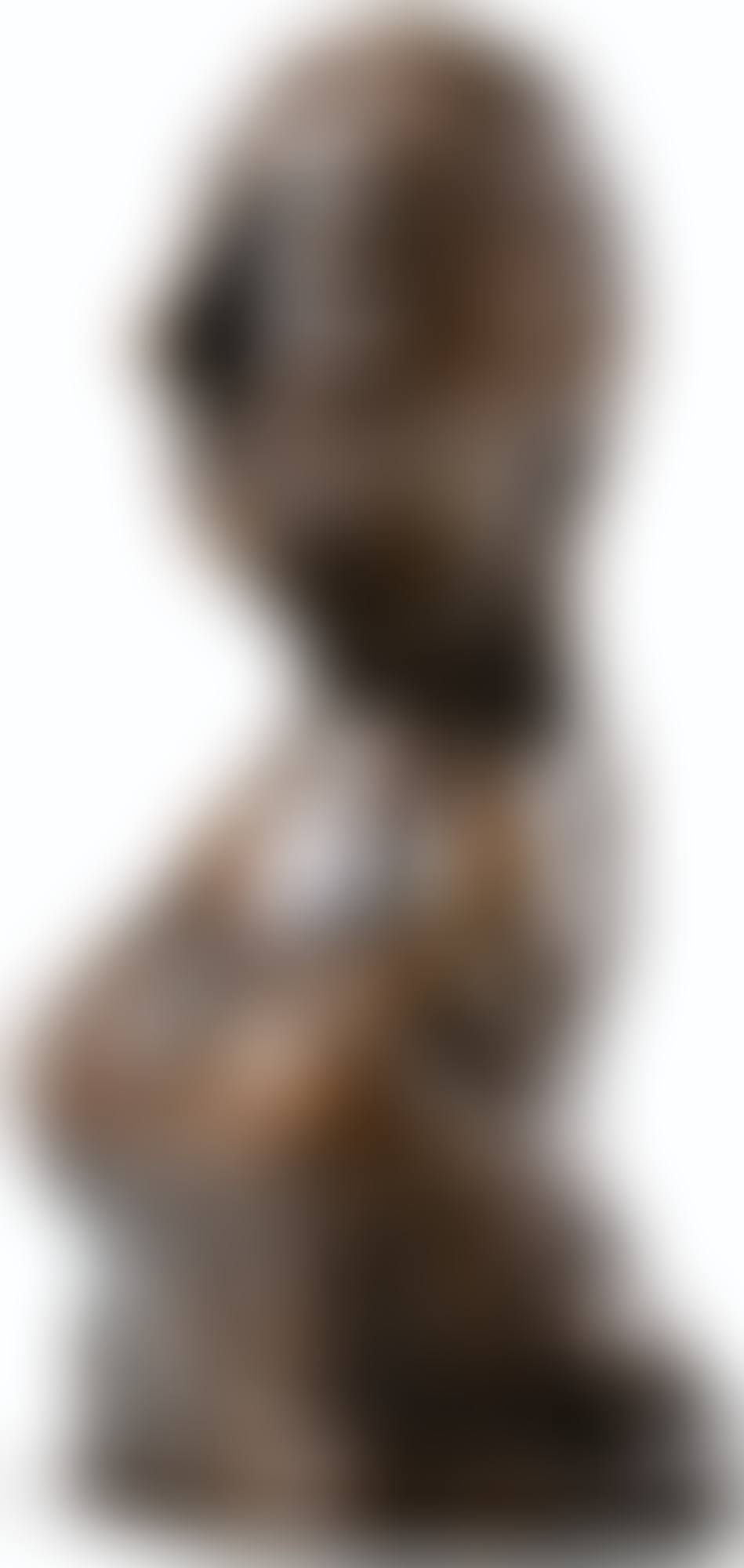 BUSTE DE FEMME (preview)