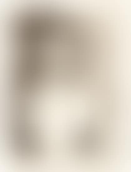 Buste de femme au corsage blanc (Jacqueline de profil) (Bust of a Woman with White Bodice, Jacqueline in Profile) (preview)