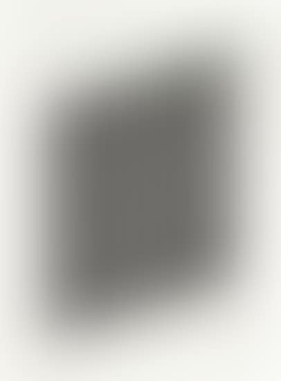 Untitled: one plate (preview)