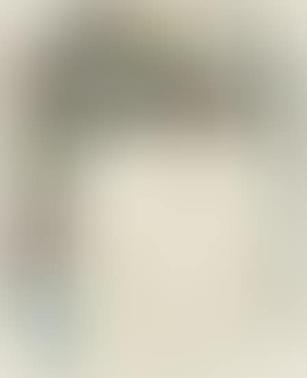Untitled (preview)
