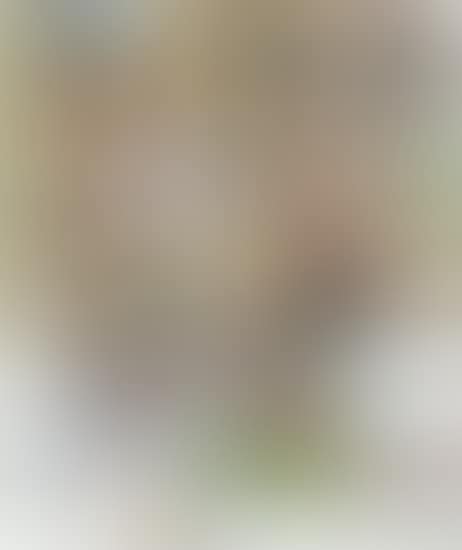 Untitled (preview)
