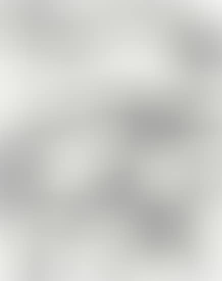 UNTITLED (MBFVP10) (preview)