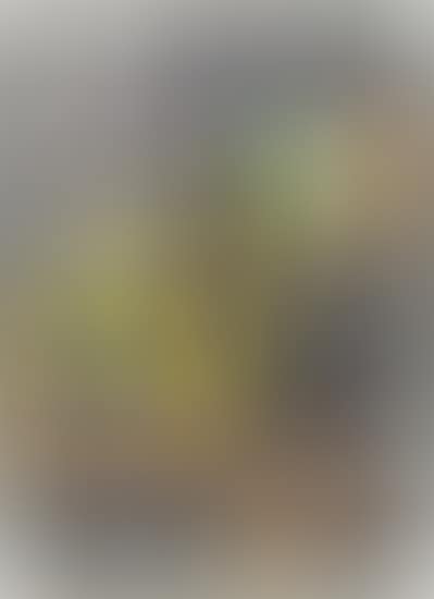 Eliminator II (preview)