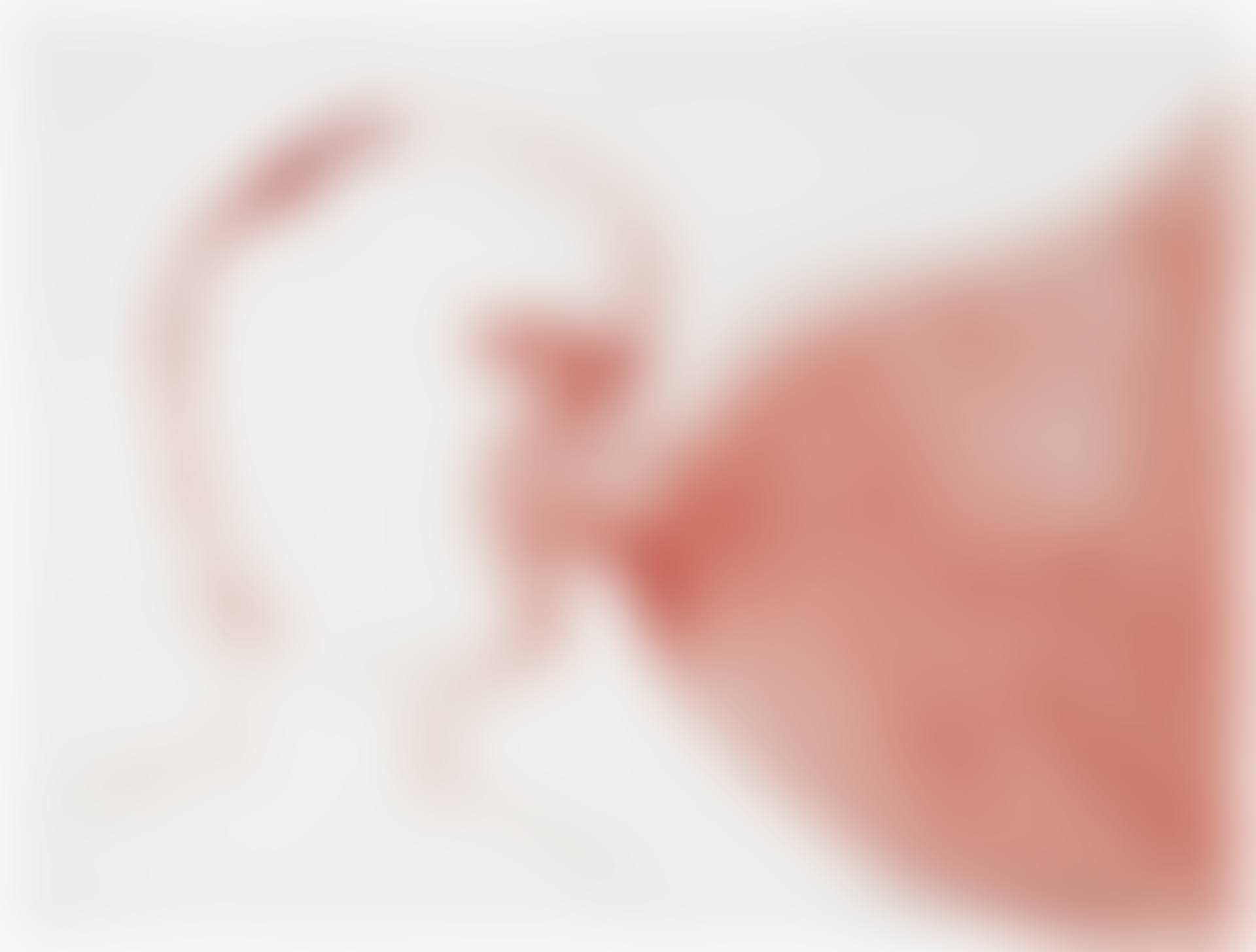 THE FEEDING (preview)