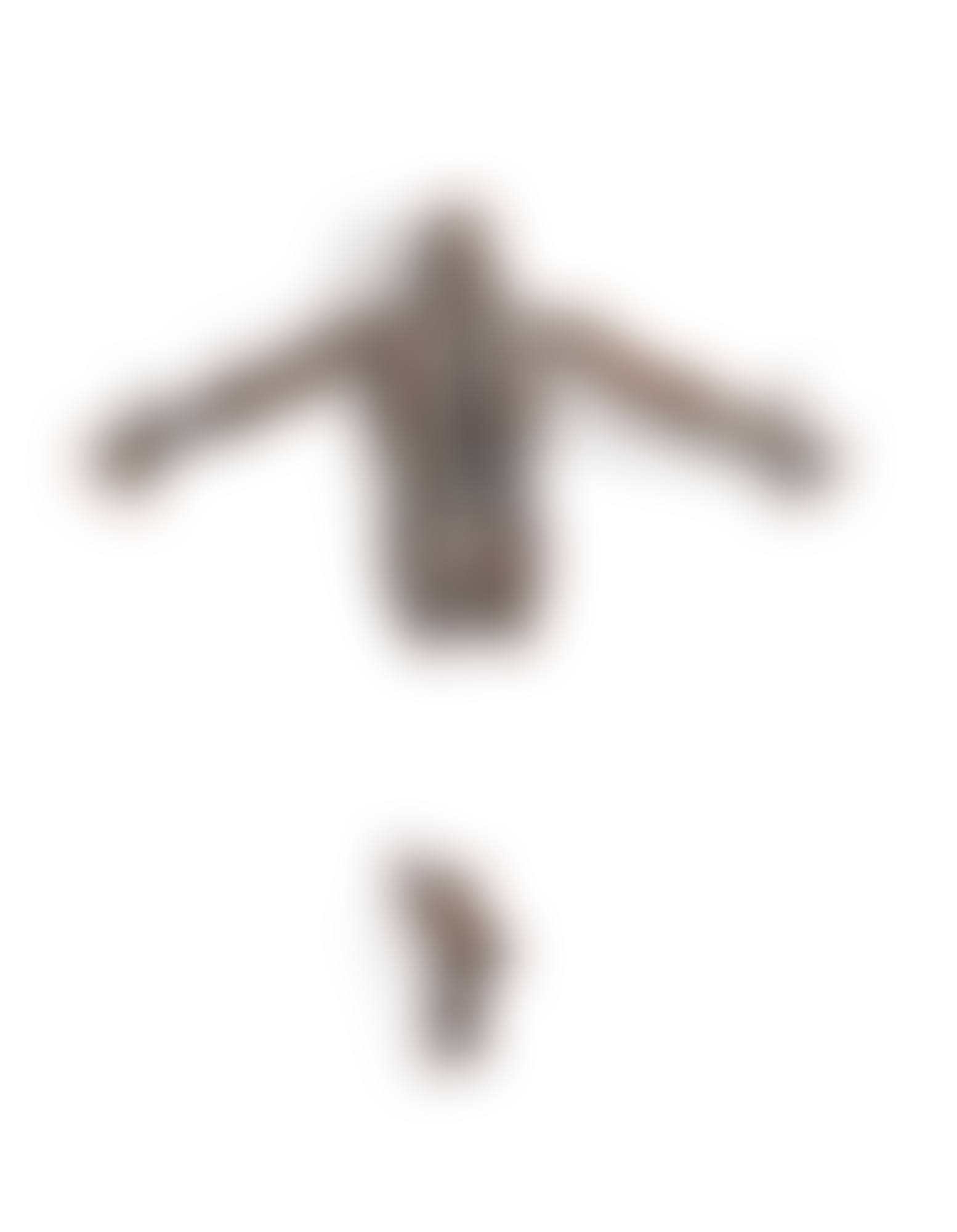 DRAGONFLY (preview)