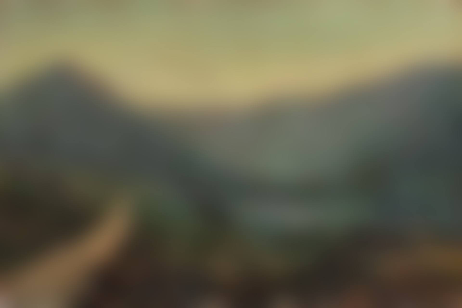 A View of Buttermere (preview)