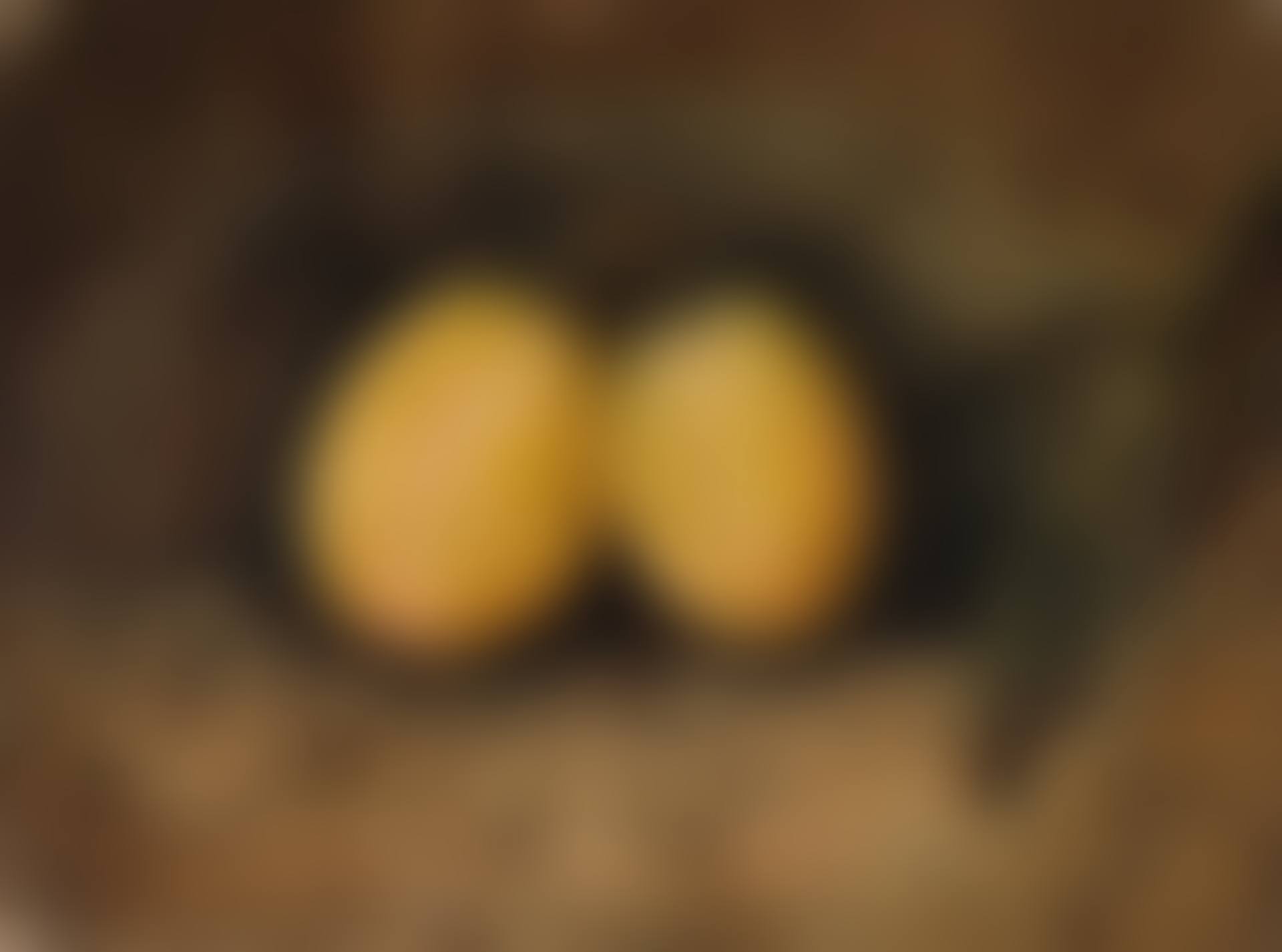 Swan-egg Plums (preview)