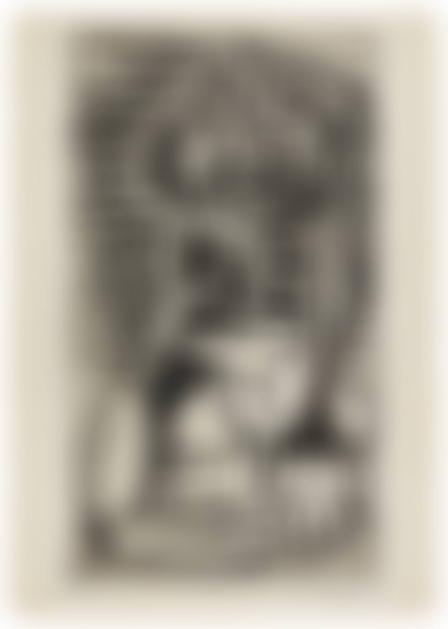 L'ÉGYPTIENNE (B. 736; BA. 906) (preview)