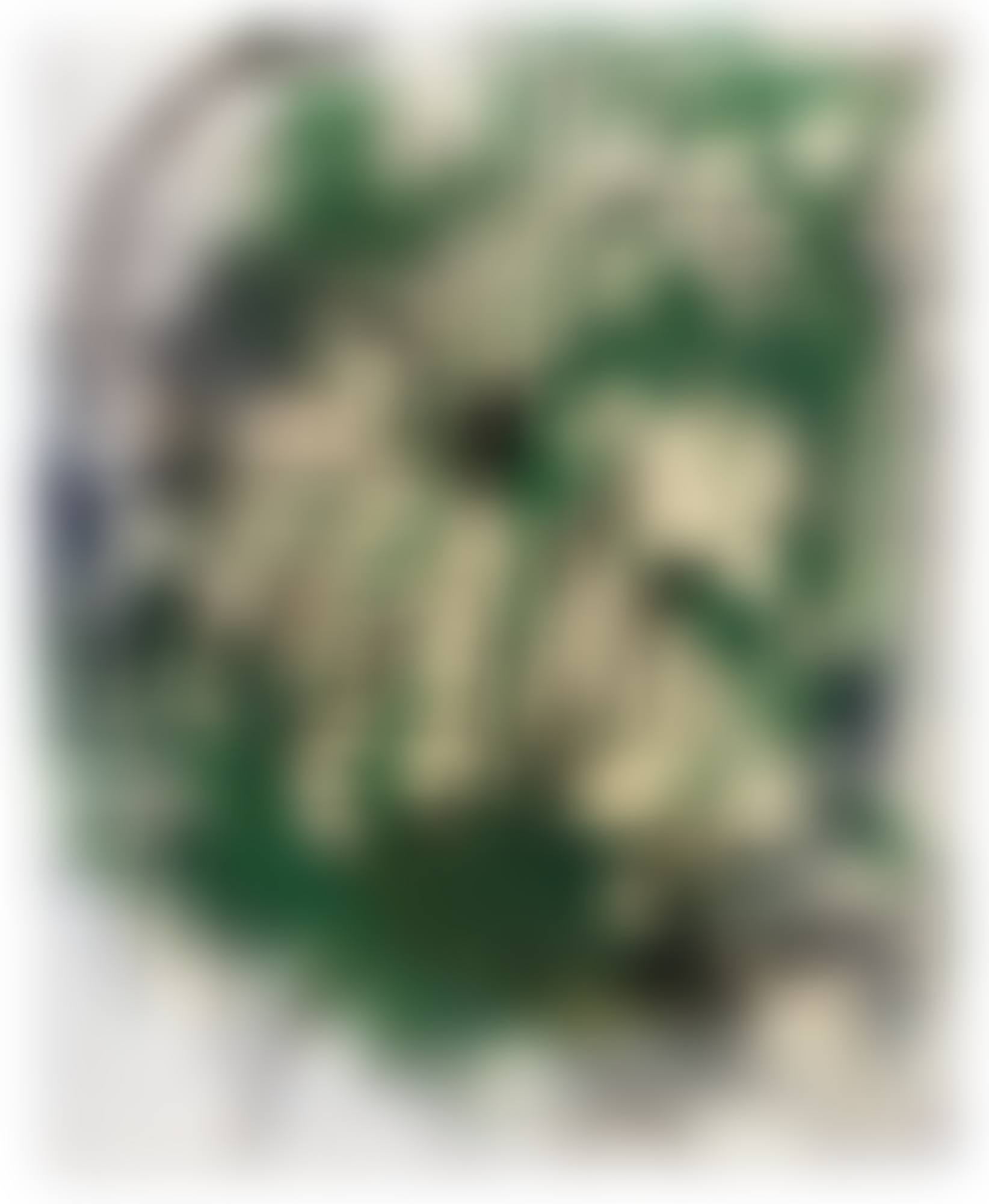Farbprobe (Eisenglimmer, Chromoxyd) (Colour Test (Iron Mica, Chromium Oxide)) (preview)