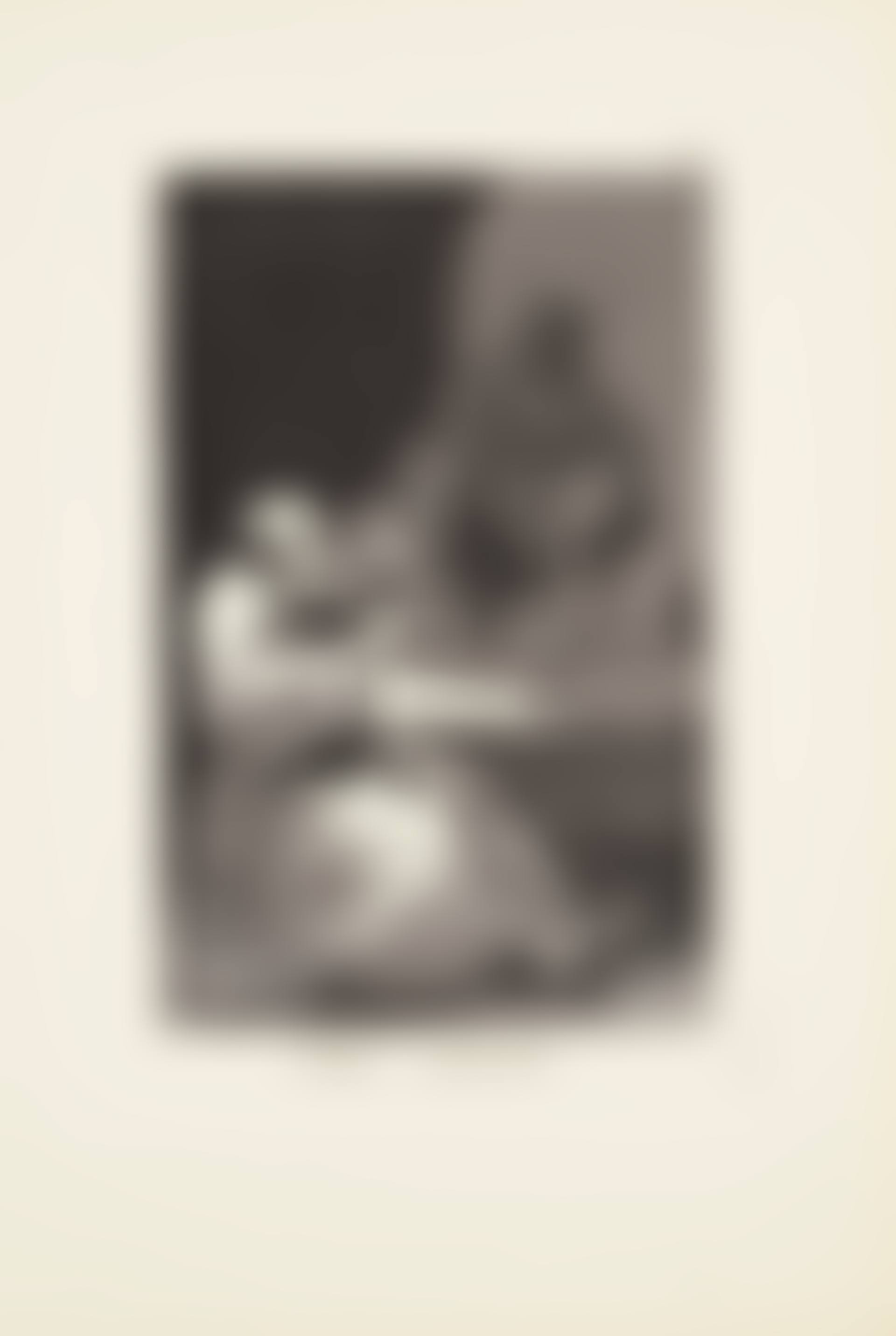 They are hot (Estan calientes)  Plate 13 from: Los Caprichos (preview)