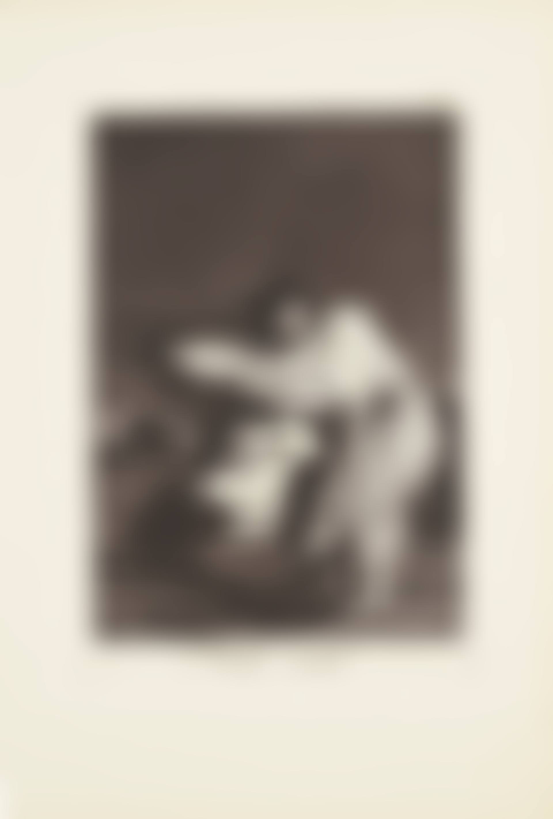A bad night (Mala noche)  Plate 36 from: Los Caprichos (preview)