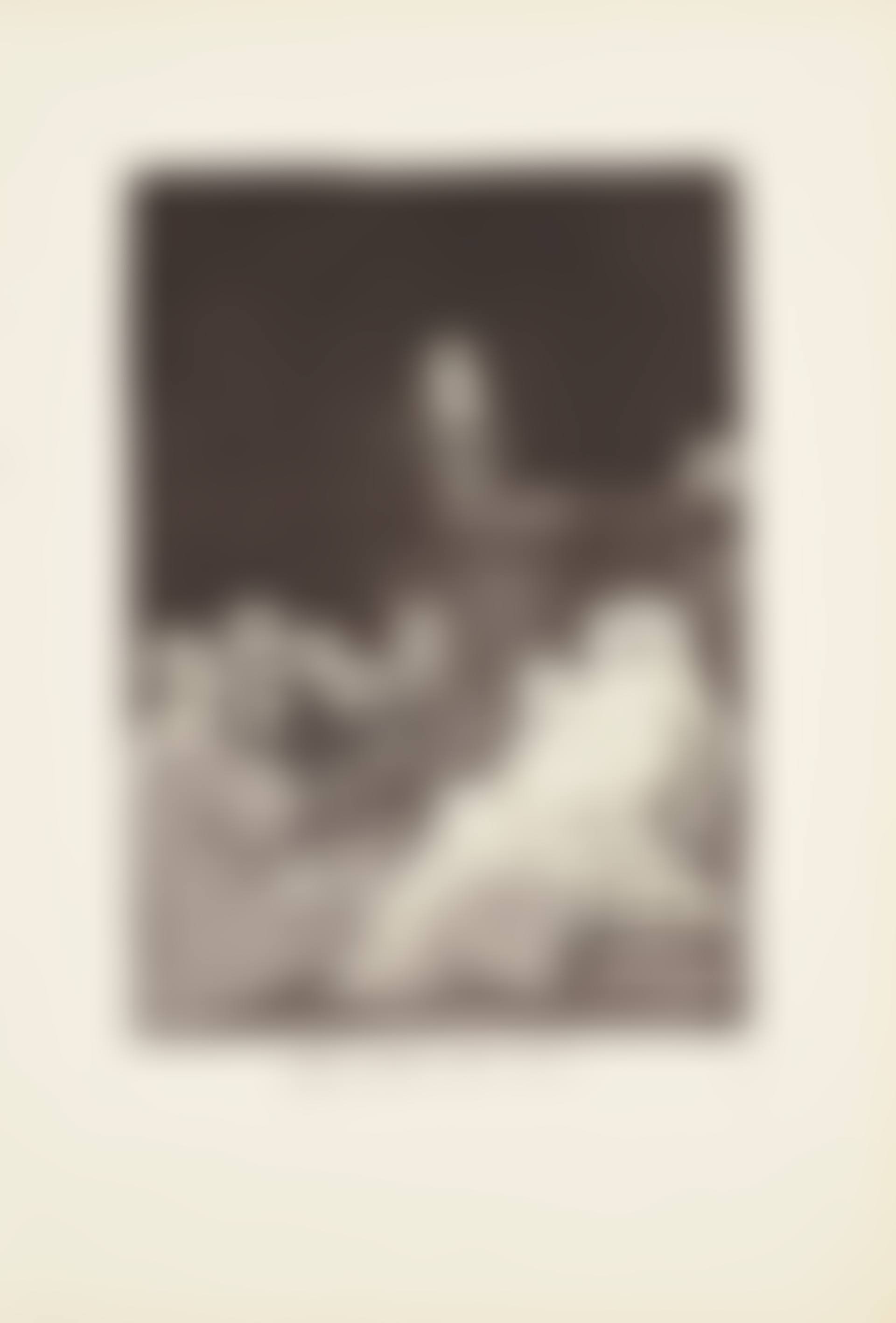 What a golden beak! (Que pico de Oro!)  Plate 53 from: Los Caprichos (preview)