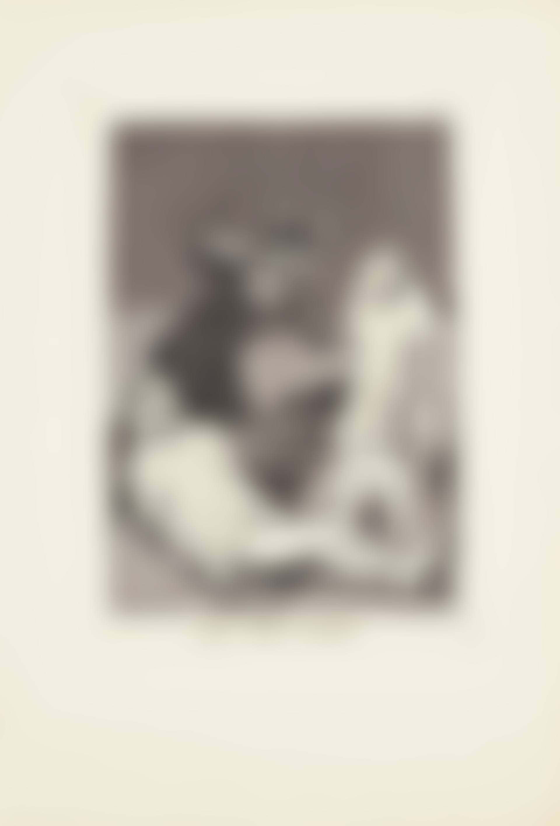 The Chinchillas (Los Chinchillas)  Plate 50 from: Los Caprichos (preview)