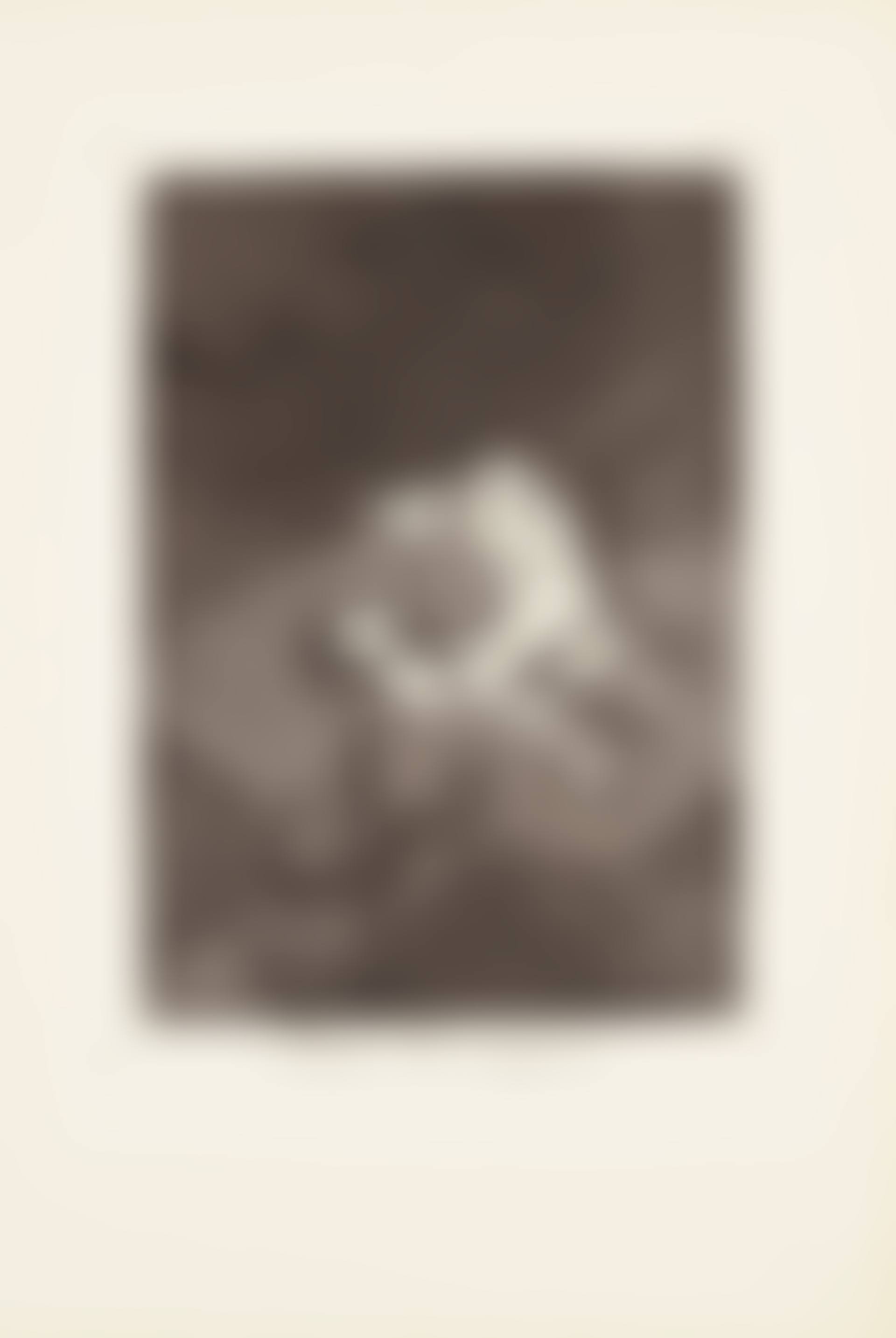 Who would have thought it (Quien lo creyera!)  Plate 62 from: Los Caprichos (preview)