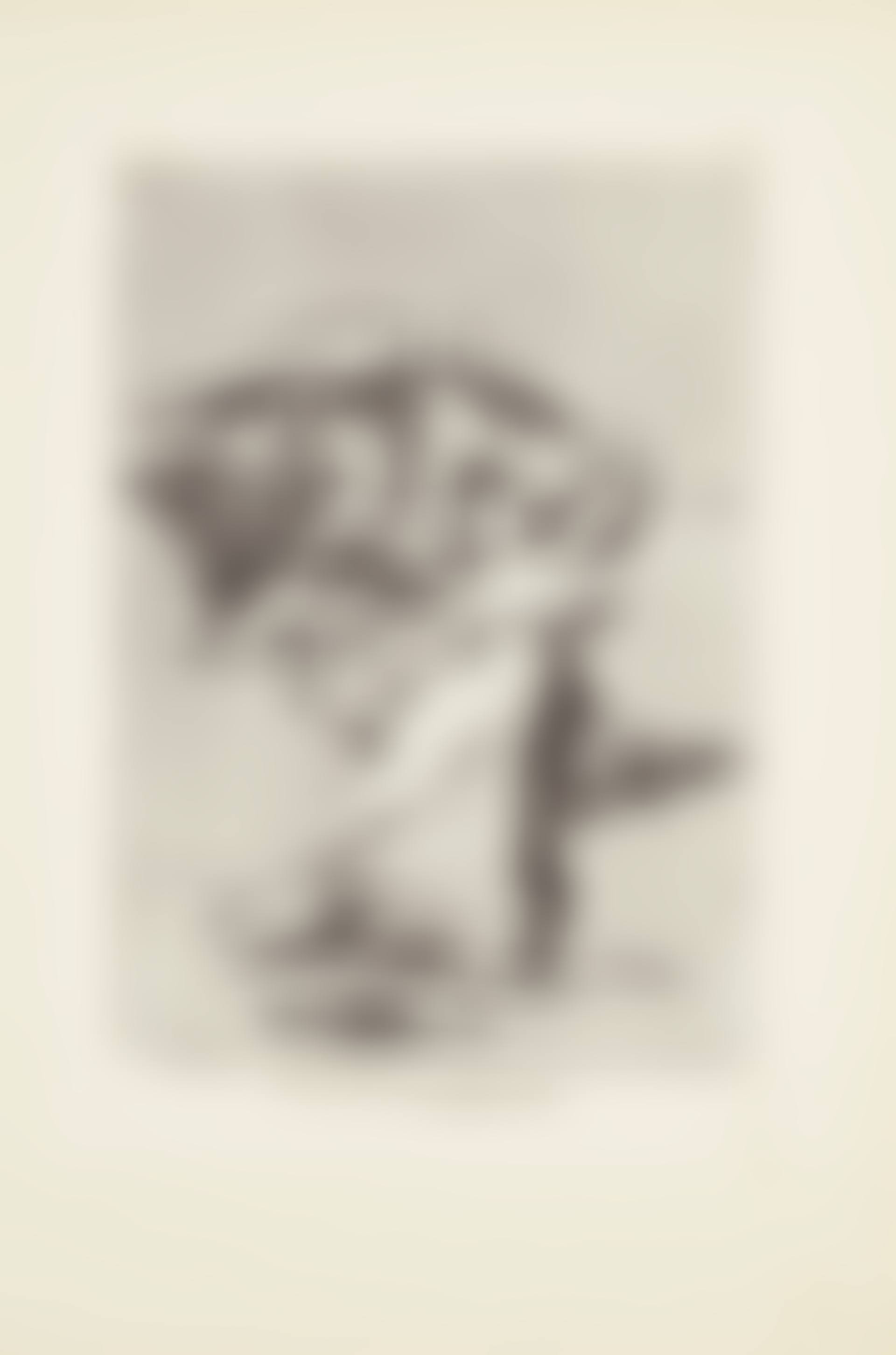 You will not escape (No te escaparas)  Plate 72 from: Los Caprichos (preview)