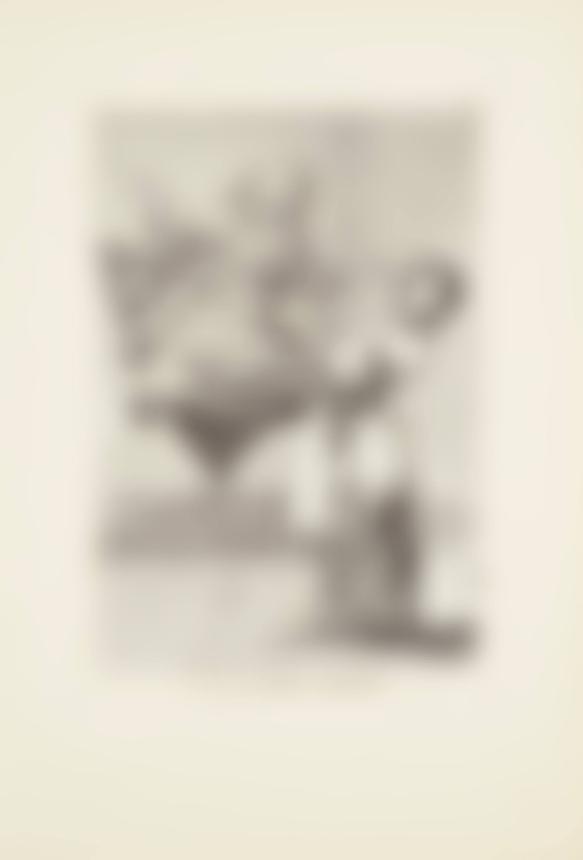 Don't scream, stupid (No grites, tonta)  Plate 74 from: Los Caprichos (preview)