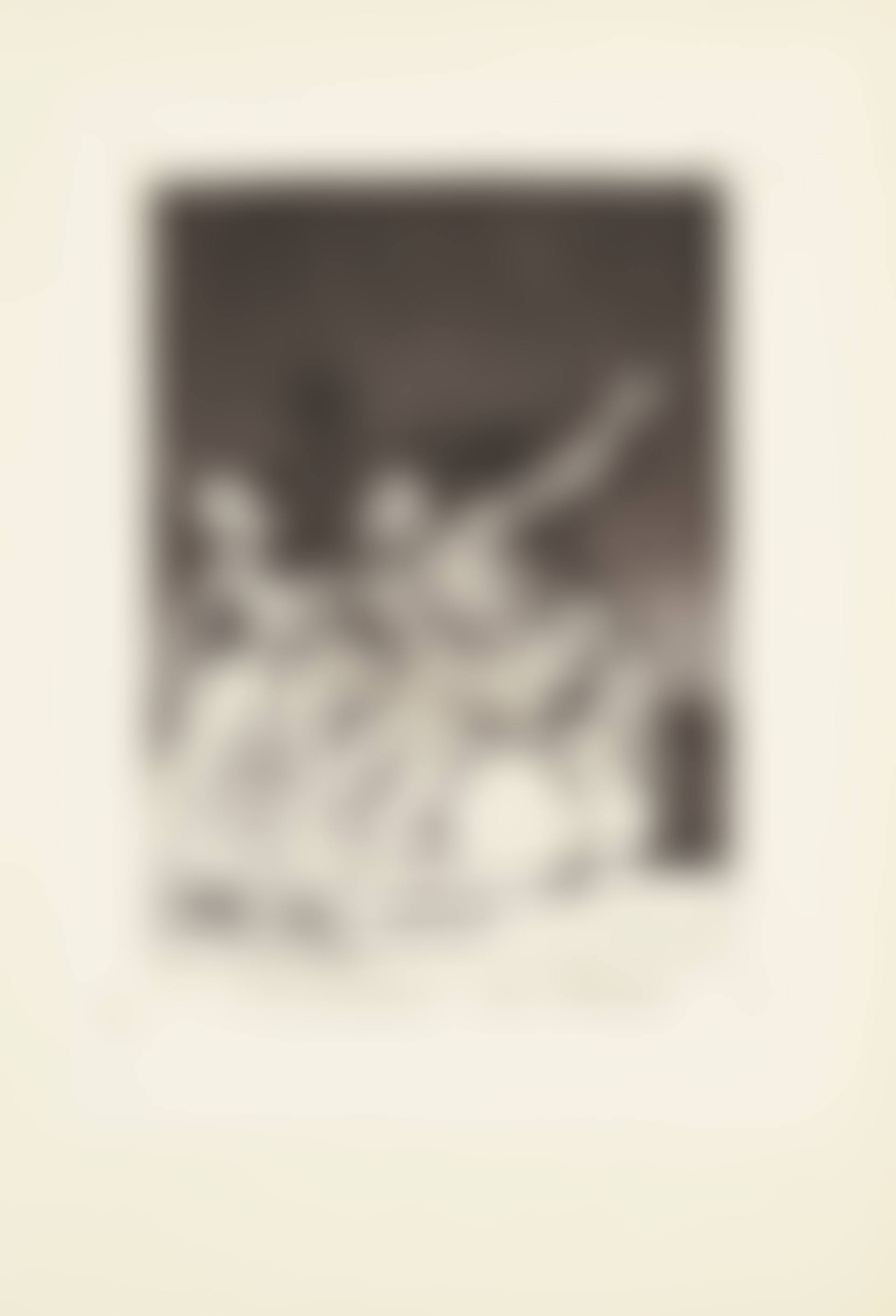 When day breaks we will be off (Si amanece; nos vamos)  Plate 71 from: Los Caprichos (preview)