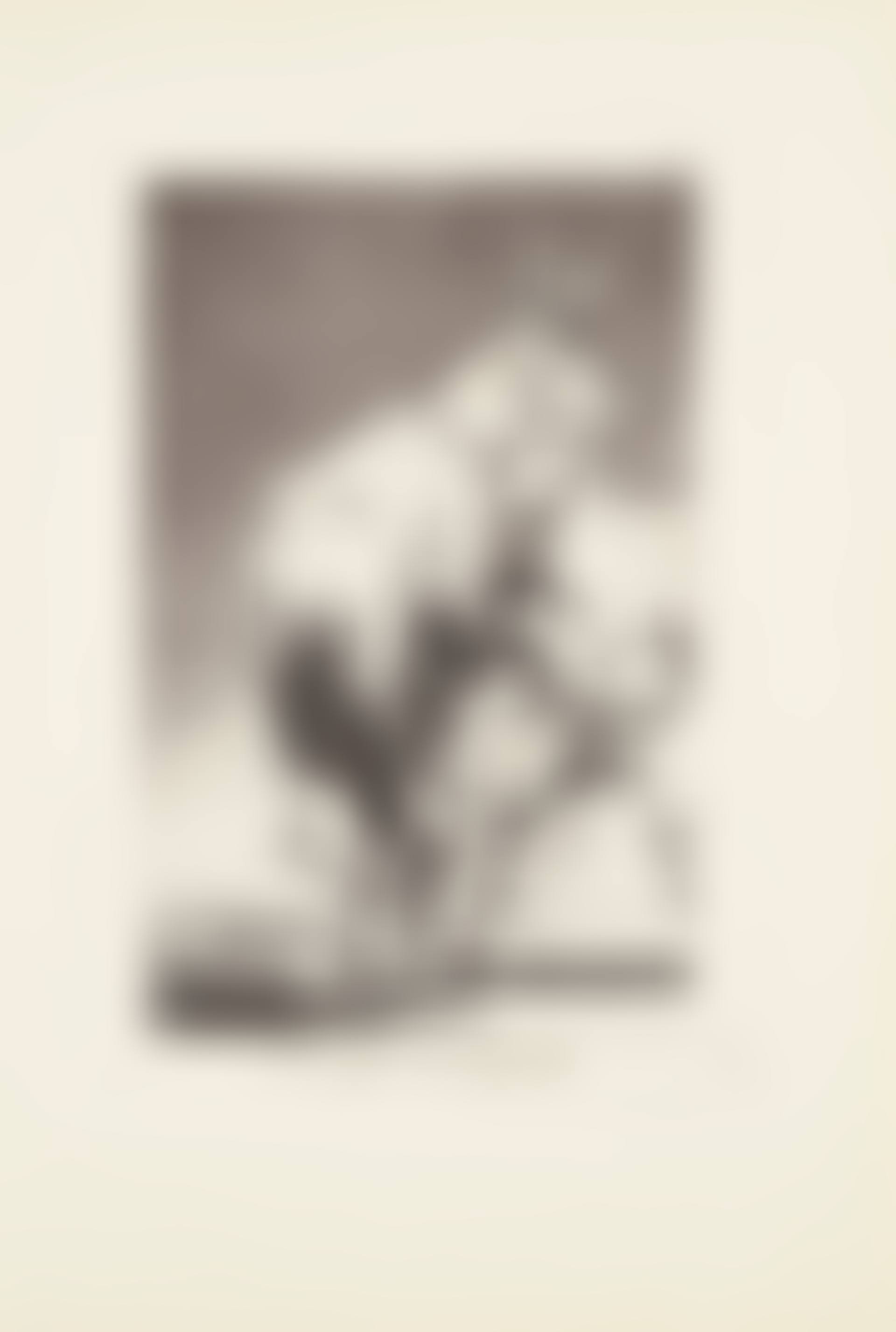 You who canst not (Tu que no puedes)  Plate 42 from: Los Caprichos (preview)