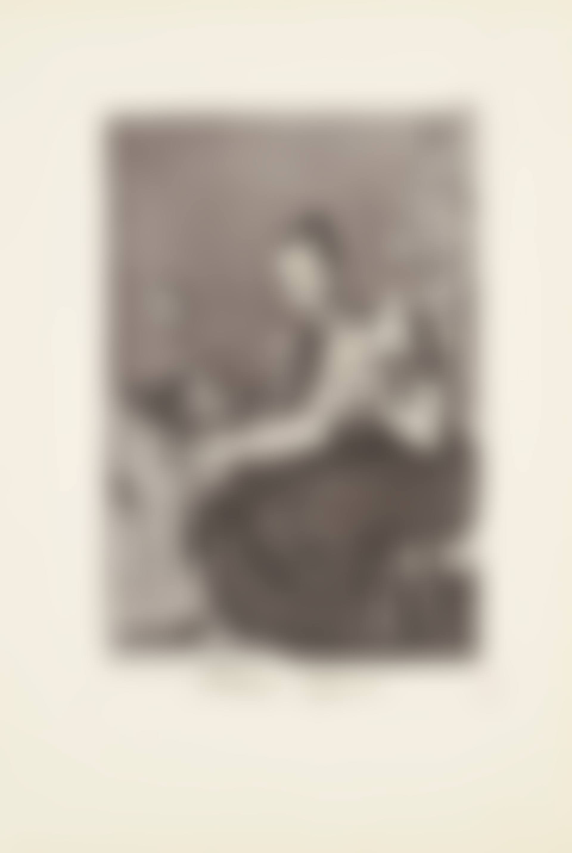 They spin finely (Hilan Delgado) Plate 44 from: Los Caprichos (preview)