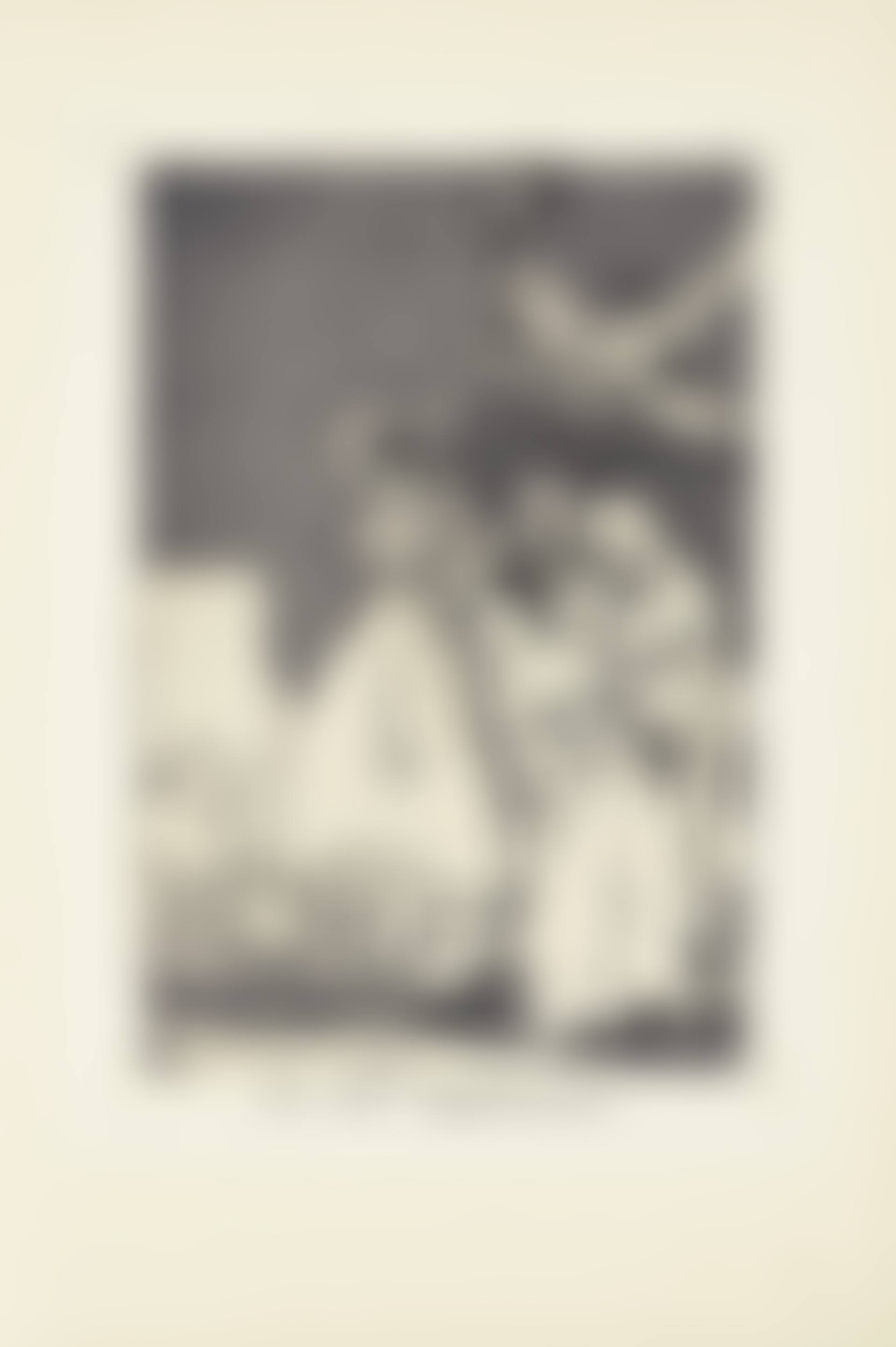 There they go plucked (Ya van desplumados)  Plate 20 from: Los Caprichos (preview)