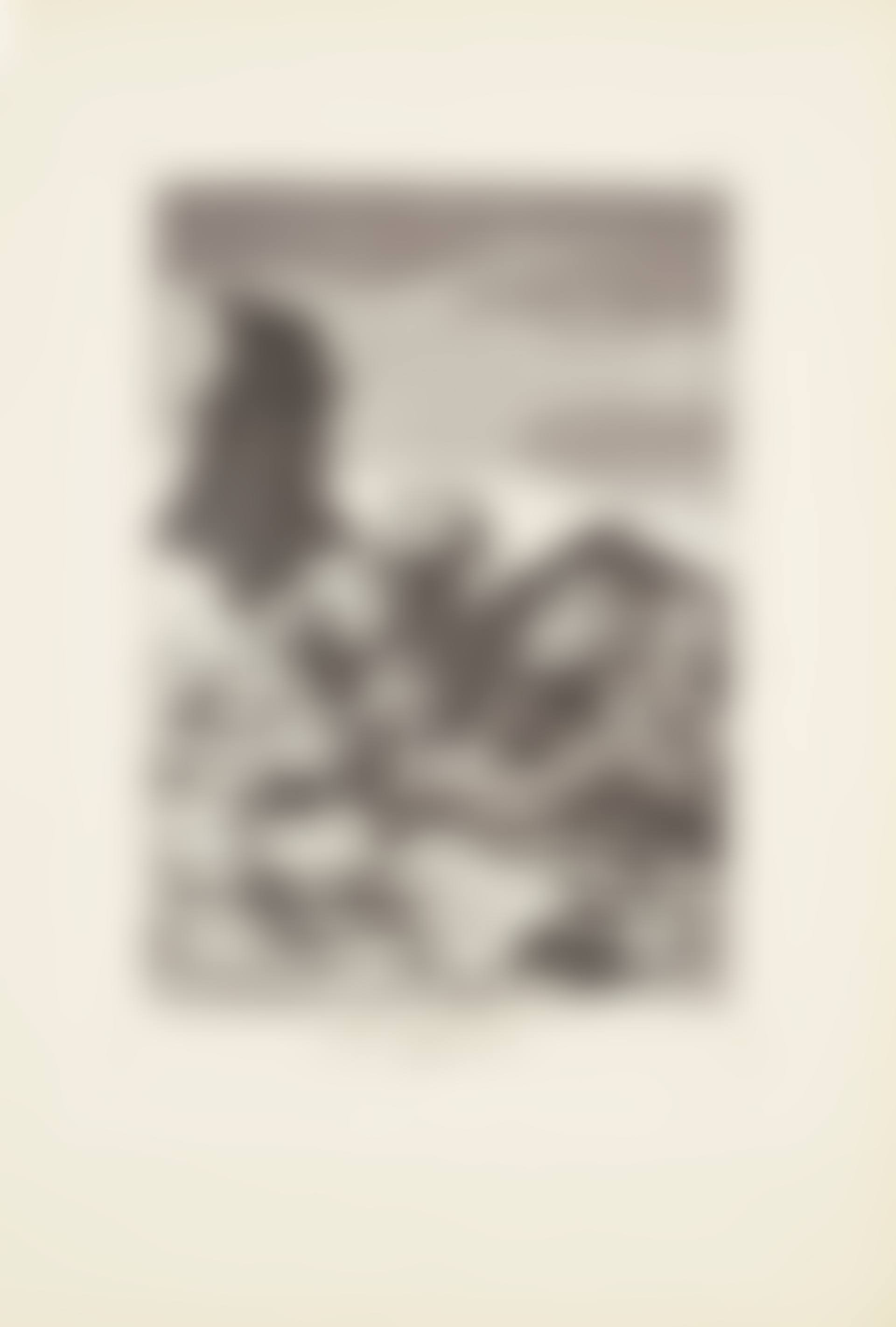 They spruce themselves up (Se repulen)  Plate 51 from: Los Caprichos (preview)