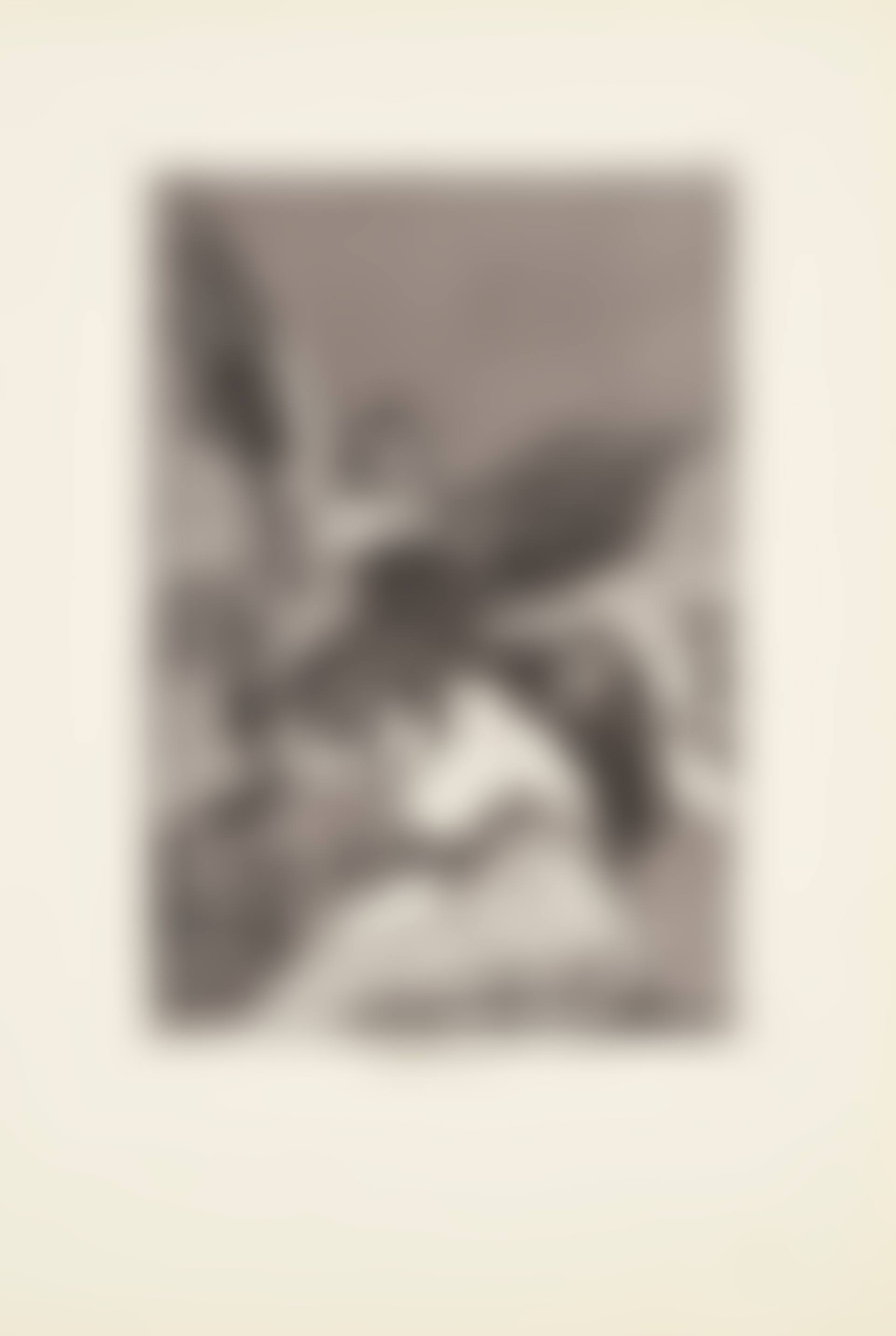 Tale-bearers - Blasts of wind (Soplones)  Plate 48 from: Los Caprichos (preview)
