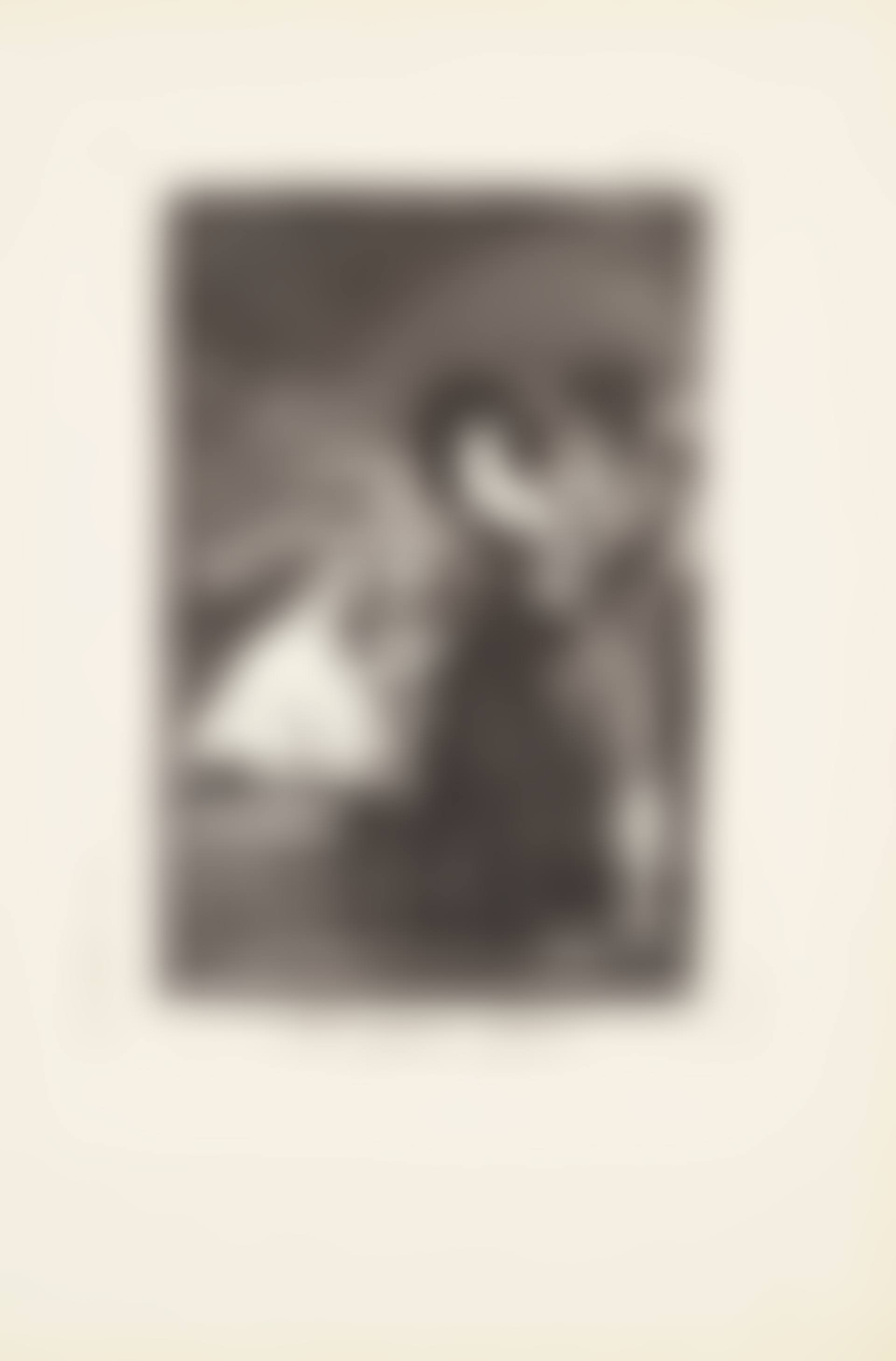 Two of a kind (Tal para qual) Plate 5 from: Los Caprichos (preview)