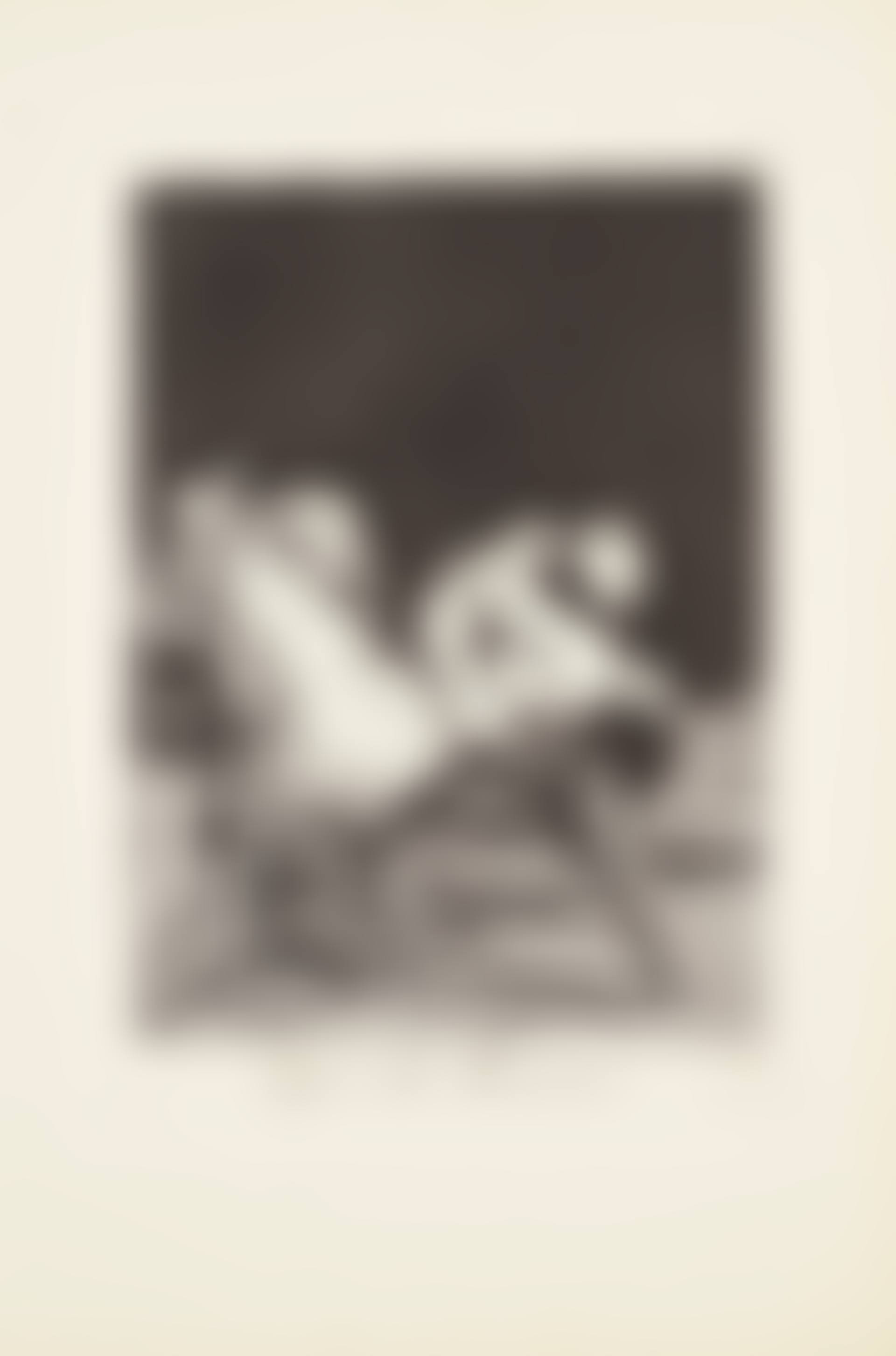 They carried her off! (Que se la llevaron!)  Plate 8 from: Los Caprichos (preview)