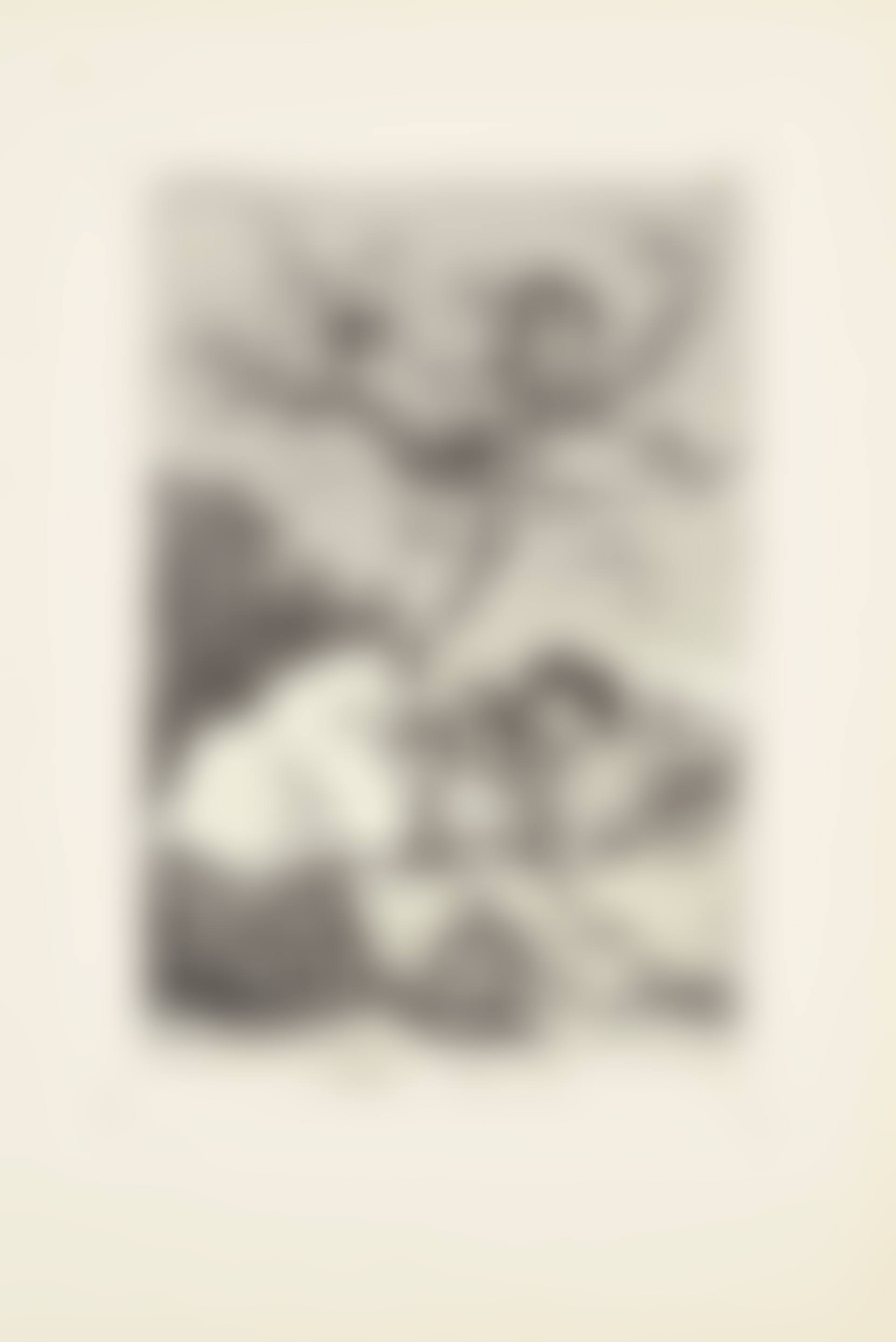 All will fall (Todos Caeràn)  Plate 19 from: Los Caprichos (preview)