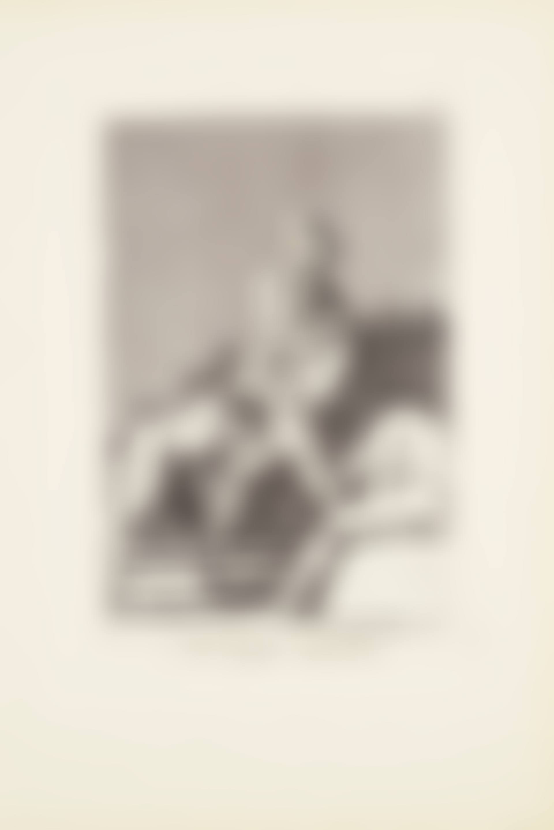 To the Count Palatine or Count of the Palate (Al Conde Palatino) Plate 33 from: Los Caprichos (preview)