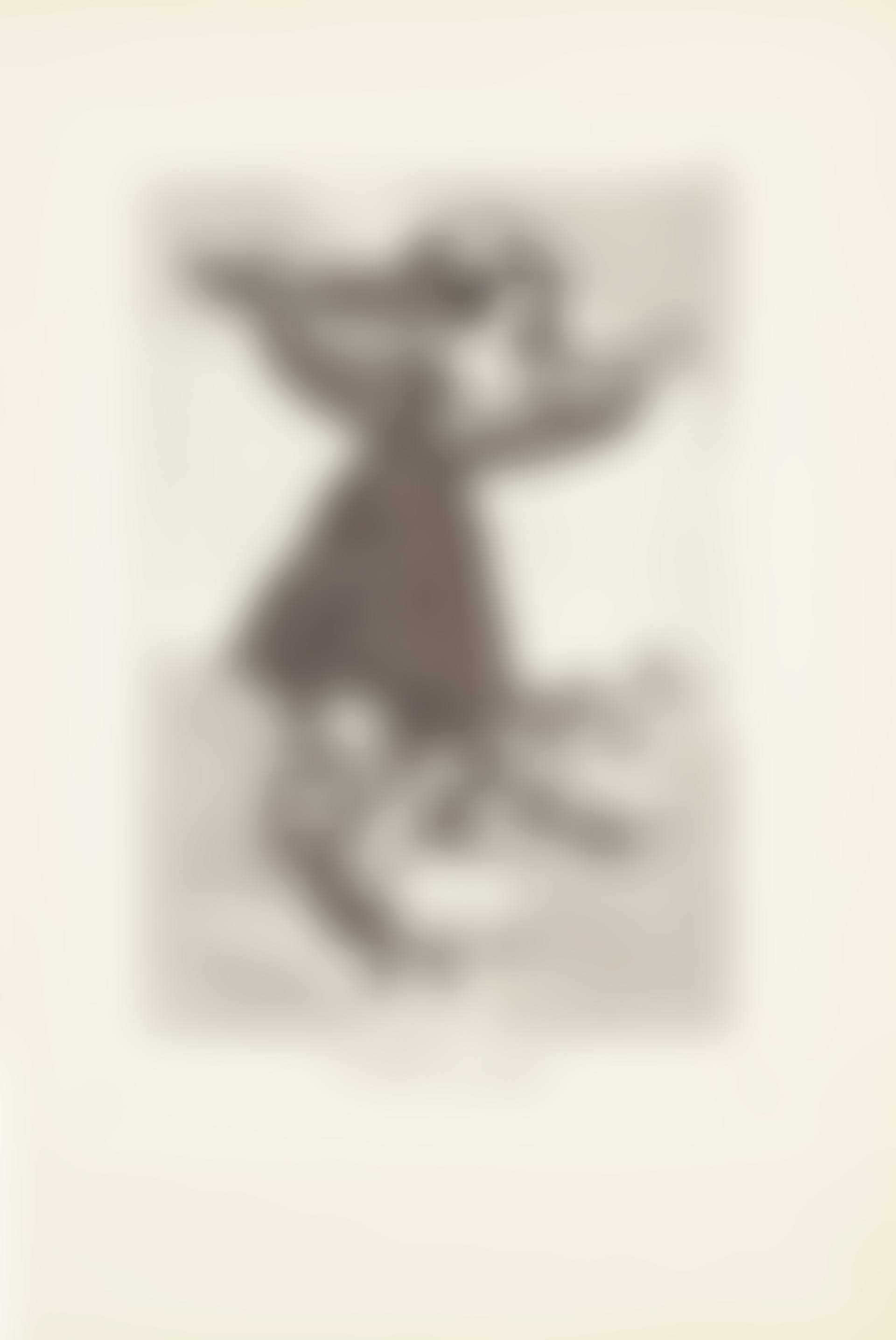 They have flown (Volaverunt)  Plate 61 from: Los Caprichos (preview)