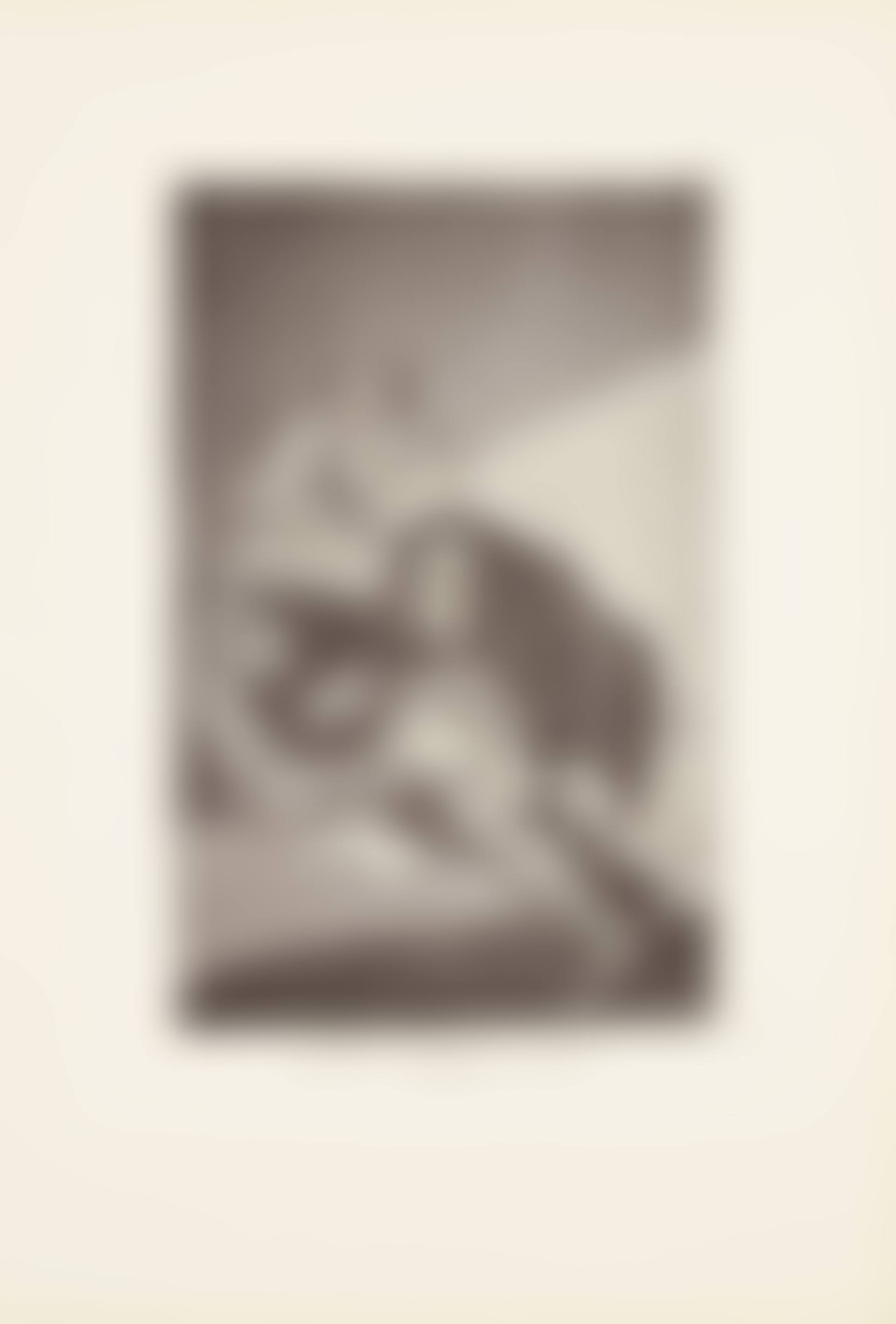 The shamefaced one (El Vergonzoso)  Plate 54 from: Los Caprichos (preview)