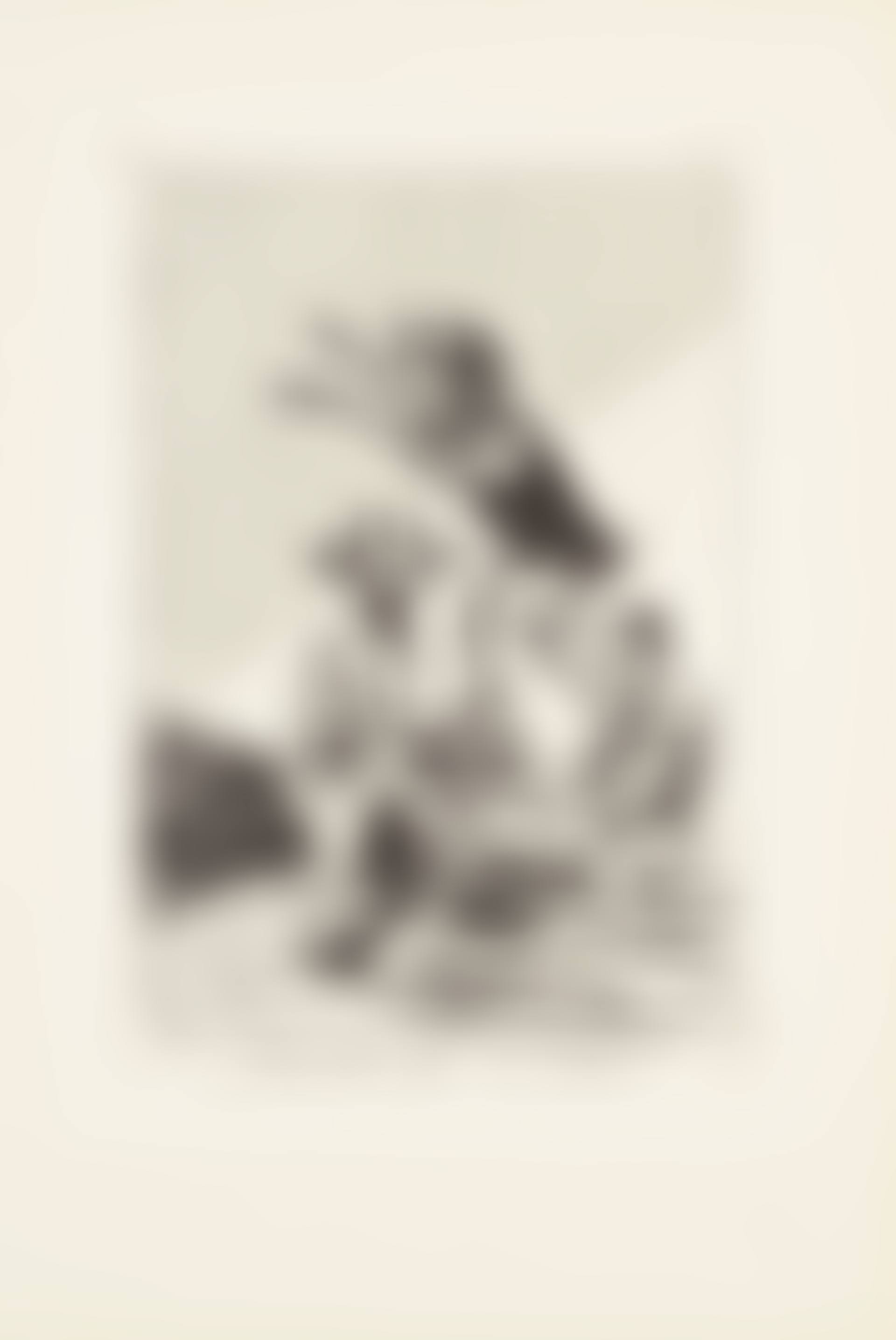 Wait till you've been anointed (Aguarda que te unten)  Plate 67 from: Los Caprichos (preview)