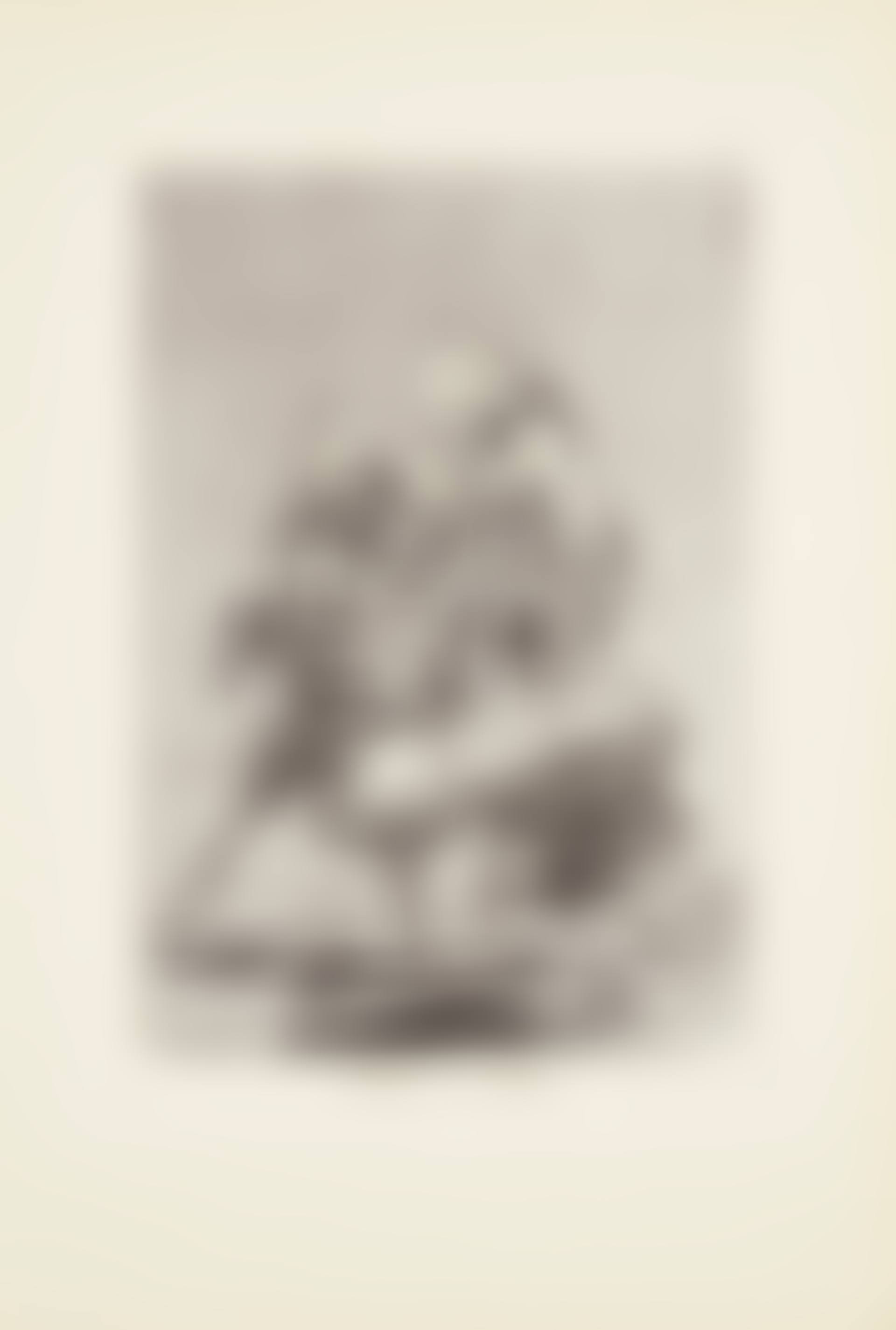 What one does to another (Unos à otros)  Plate 77 from: Los Caprichos (preview)