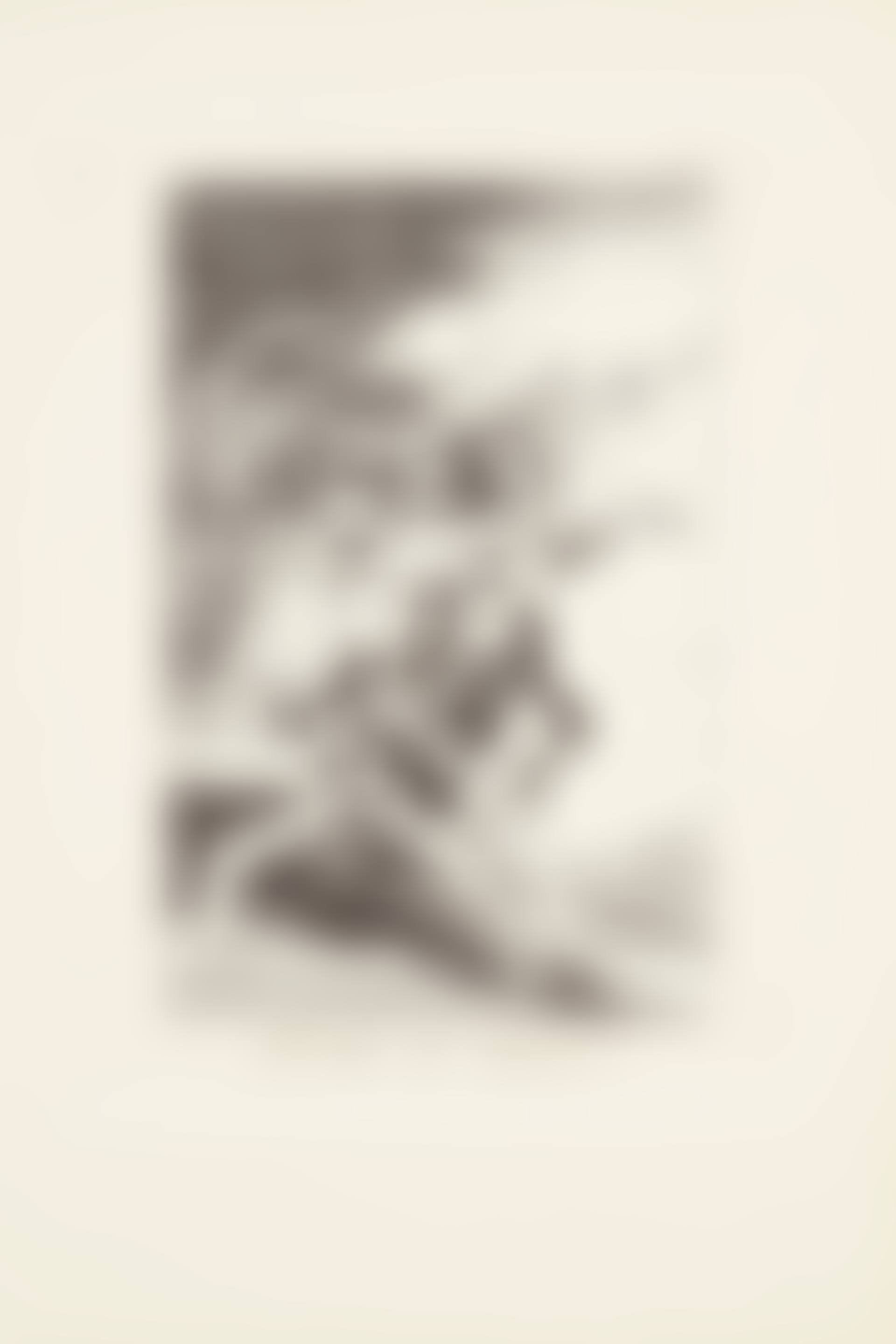 Where is mother going (Donde vá mamà?)  Plate 65 from: Los Caprichos (preview)