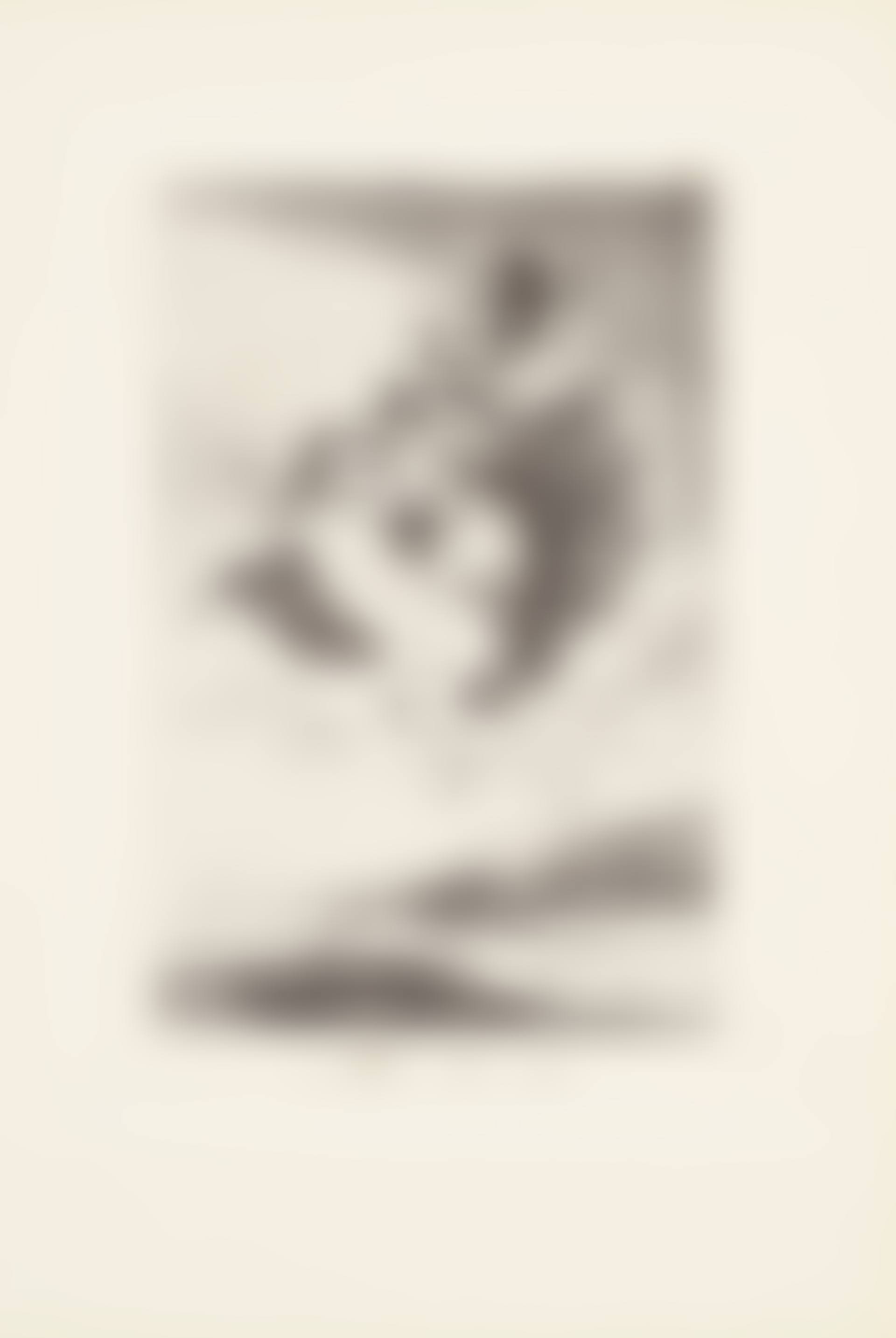 There it goes (Allá vá eso)  Plate 66 from: Los Caprichos (preview)