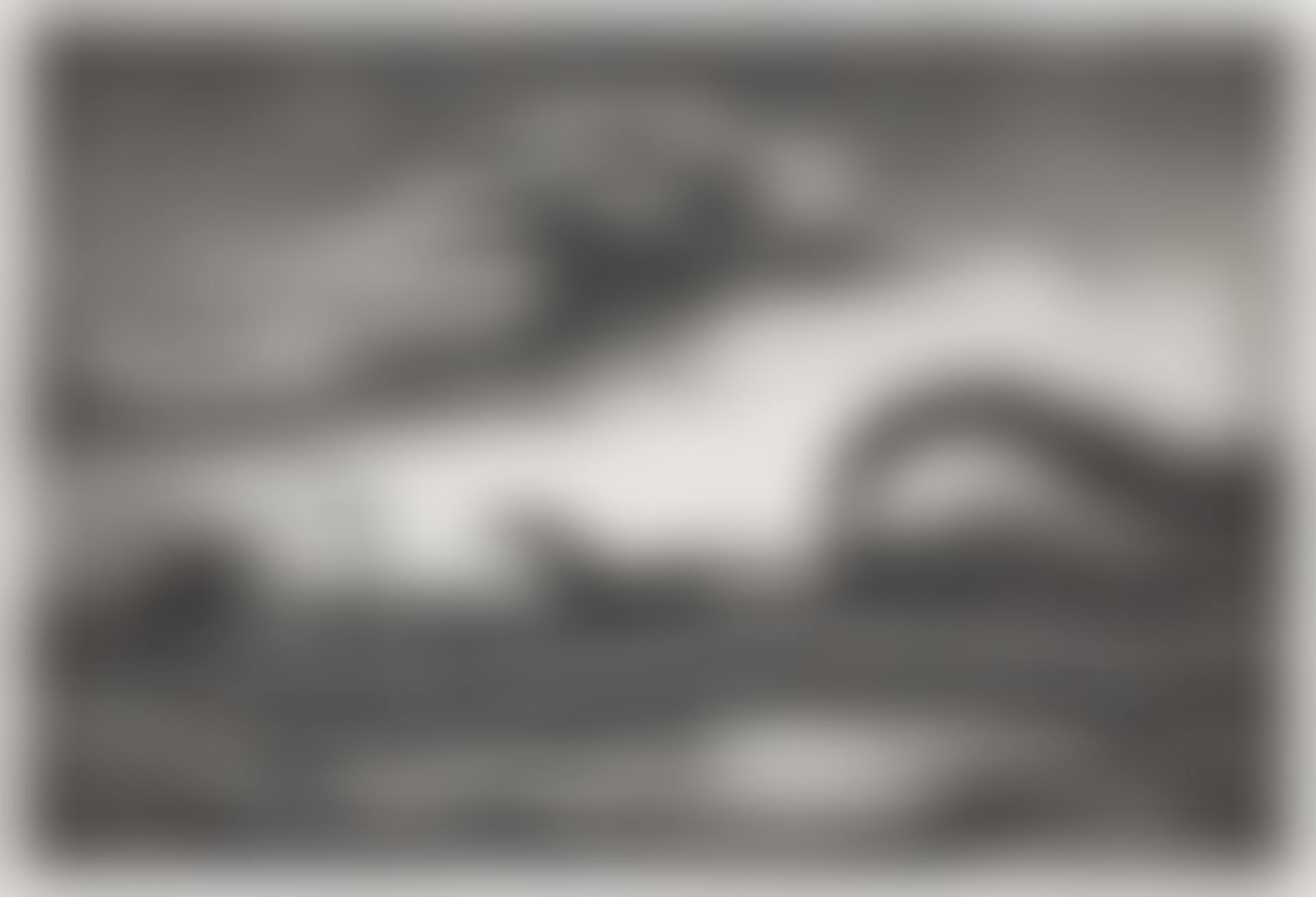 THE RACE (FATH 56) (preview)