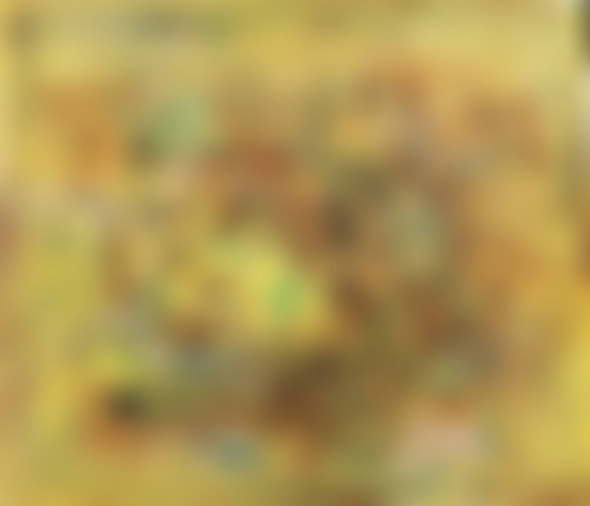 PAYSAGE (preview)