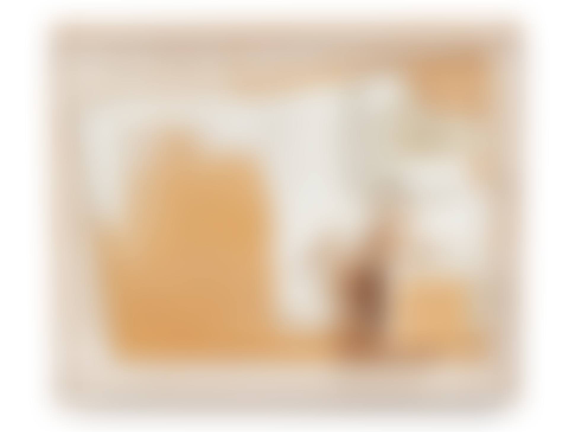 P.S.1 PROJECT MODEL (1) (preview)