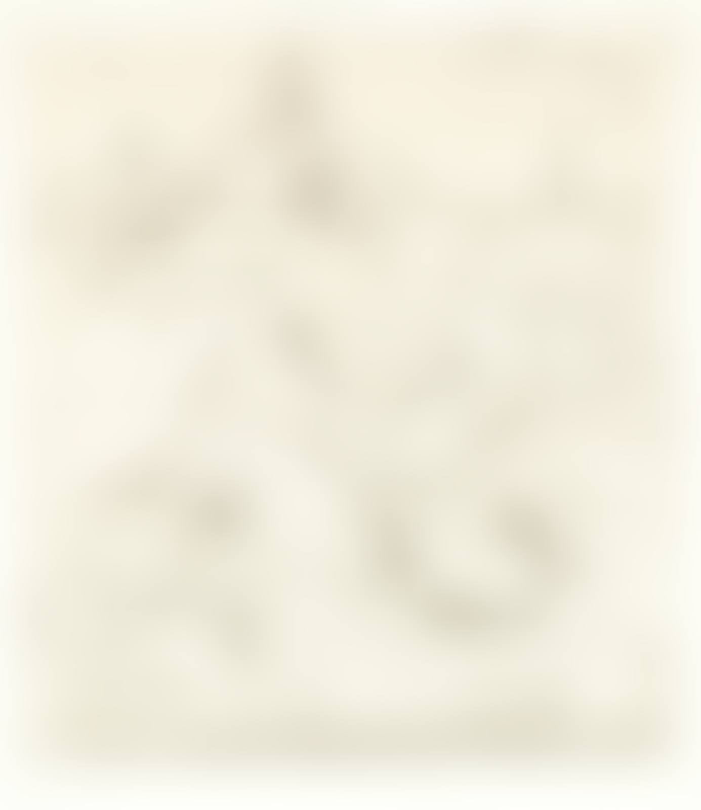 Venice (J. pl.33,  p.45) (preview)